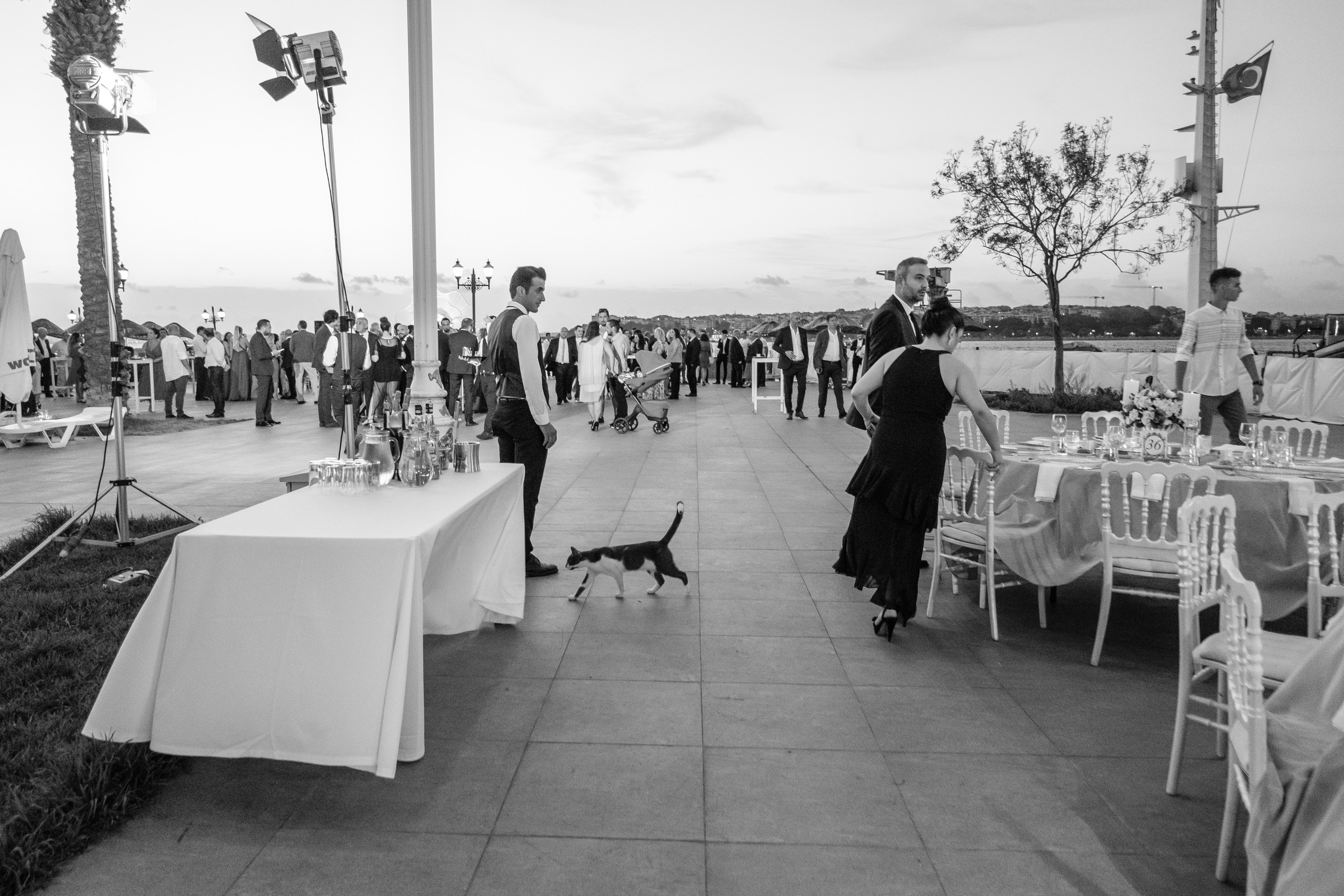 Турецкая свадьба на берегу Босфора. Свадебный фотограф Элли Федосеева