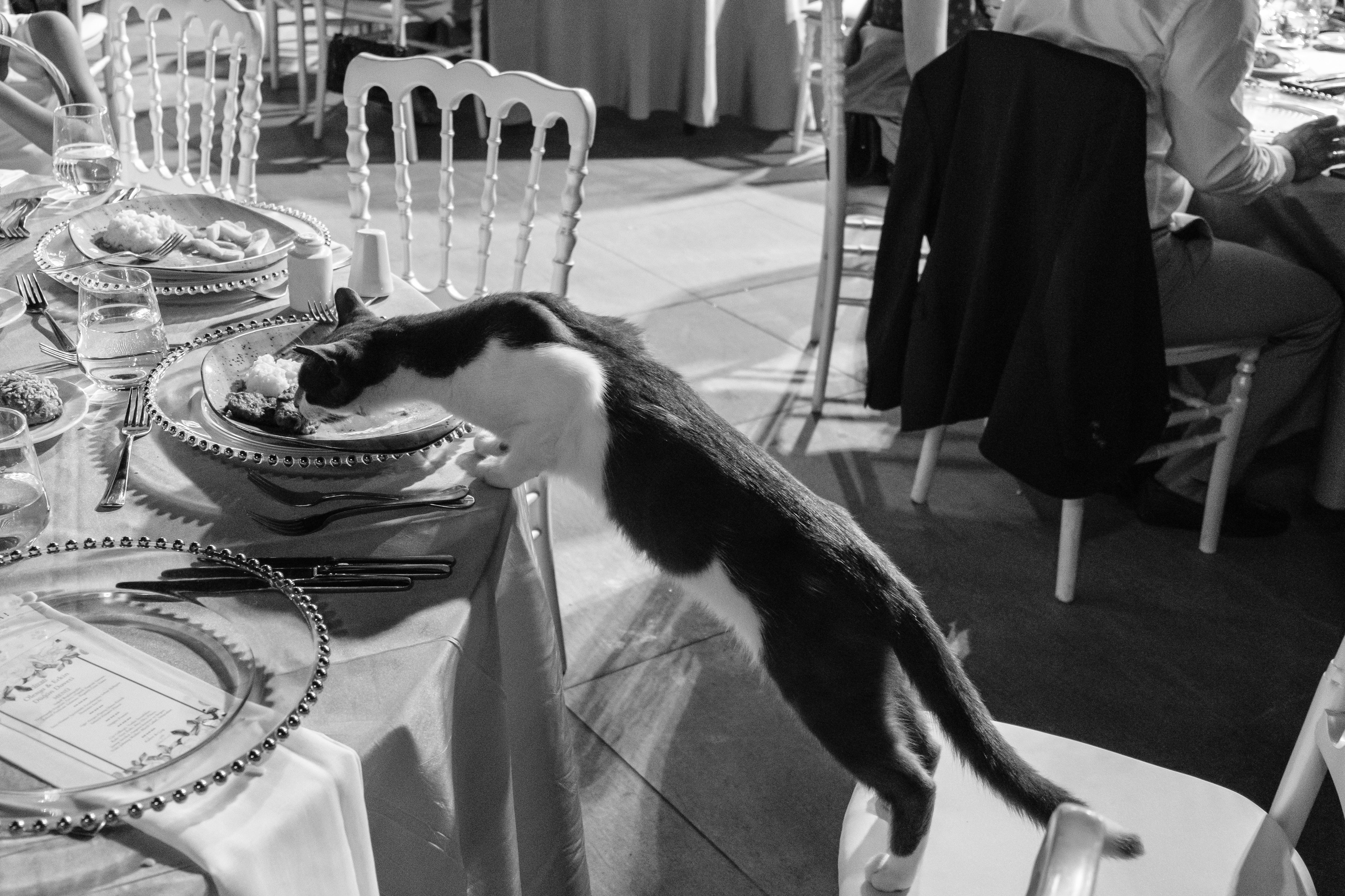 Турецкая свадьба на берегу Босфора. Свадебный фотограф Элли Федосеева