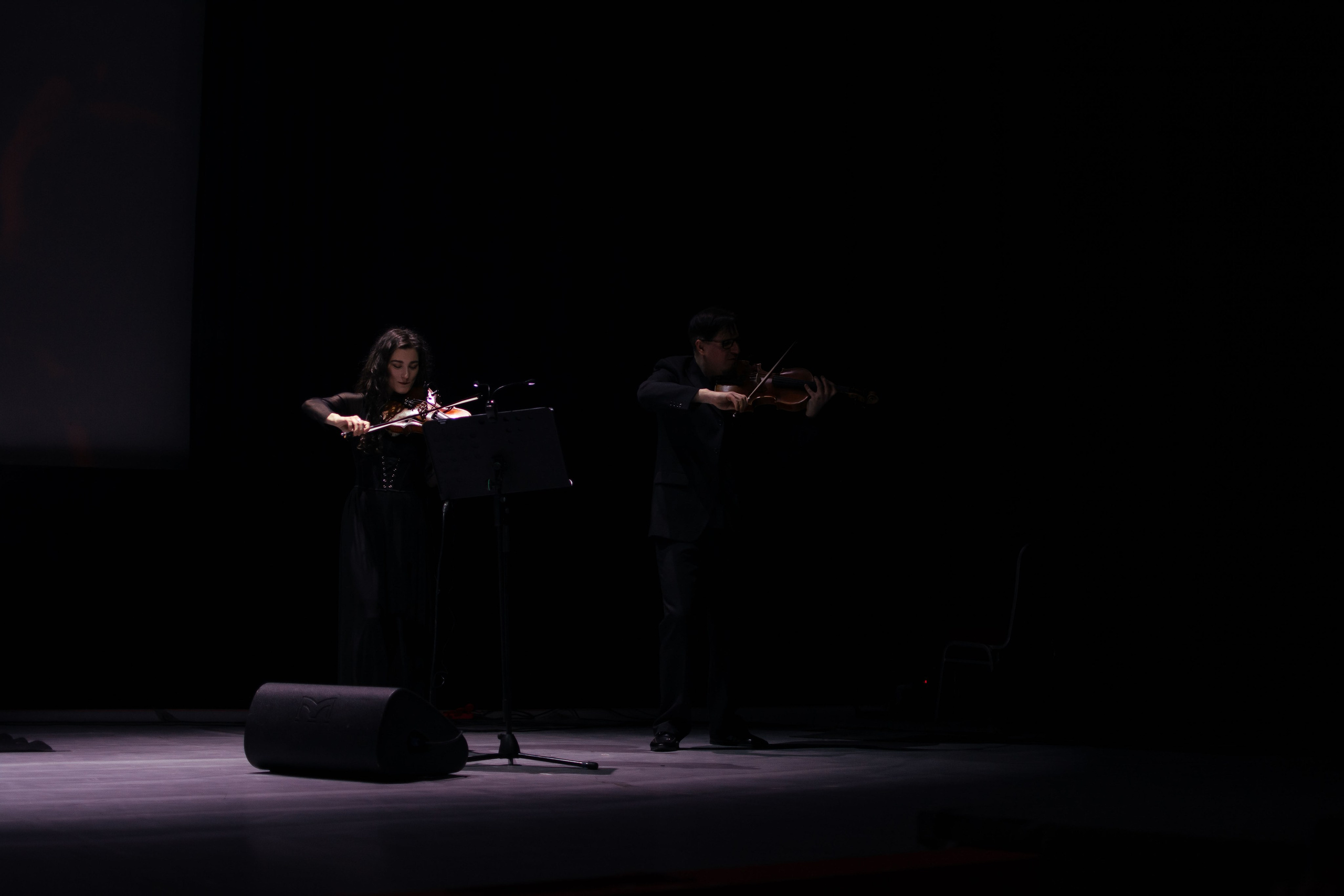 Концерт оркестра Cinematica. Репортажный фотограф в Новосибирске