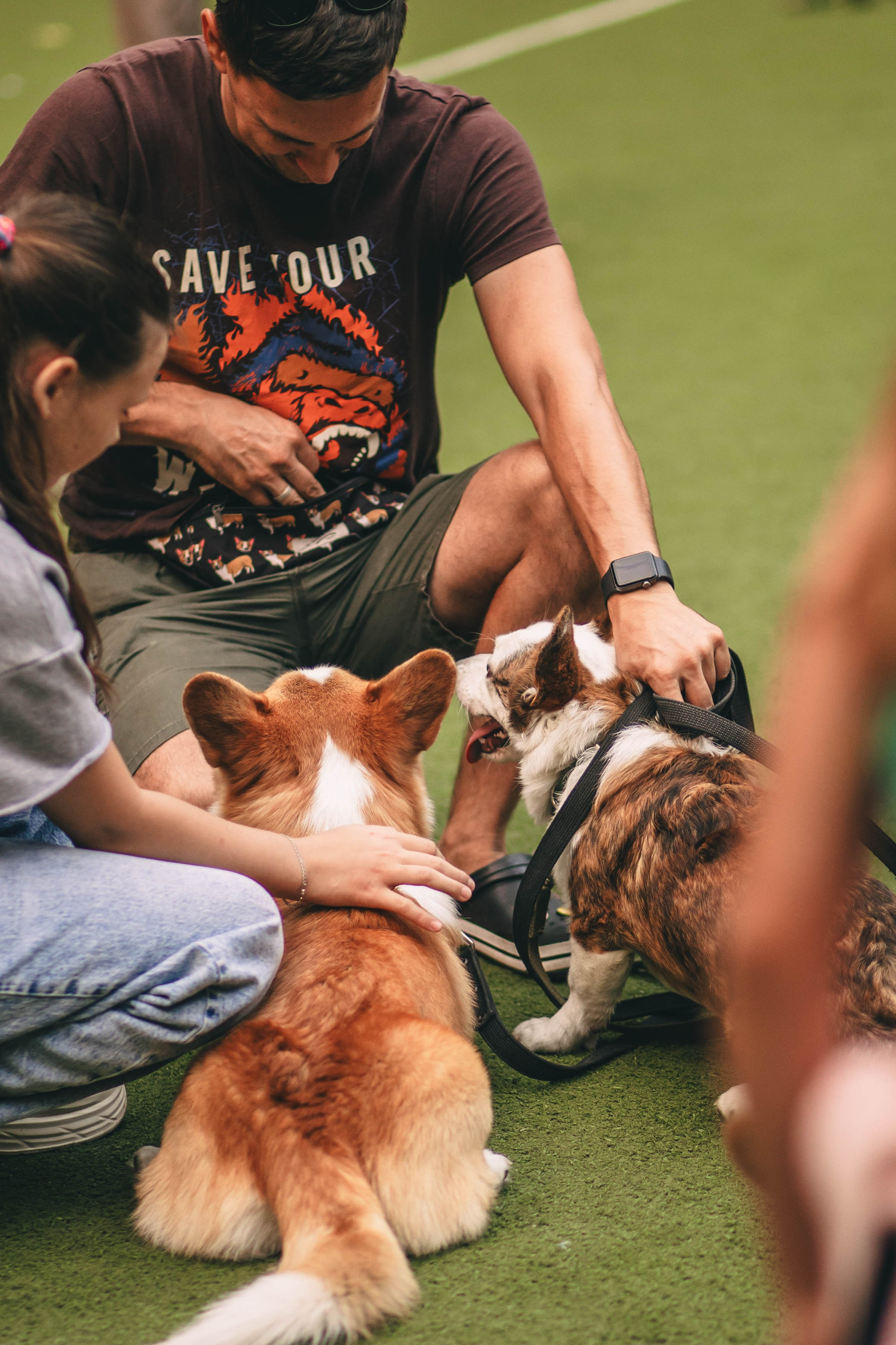 Pet-Party + Live-music |Парк Культуры. Фотограф в Ставрополе Алина Клочкова