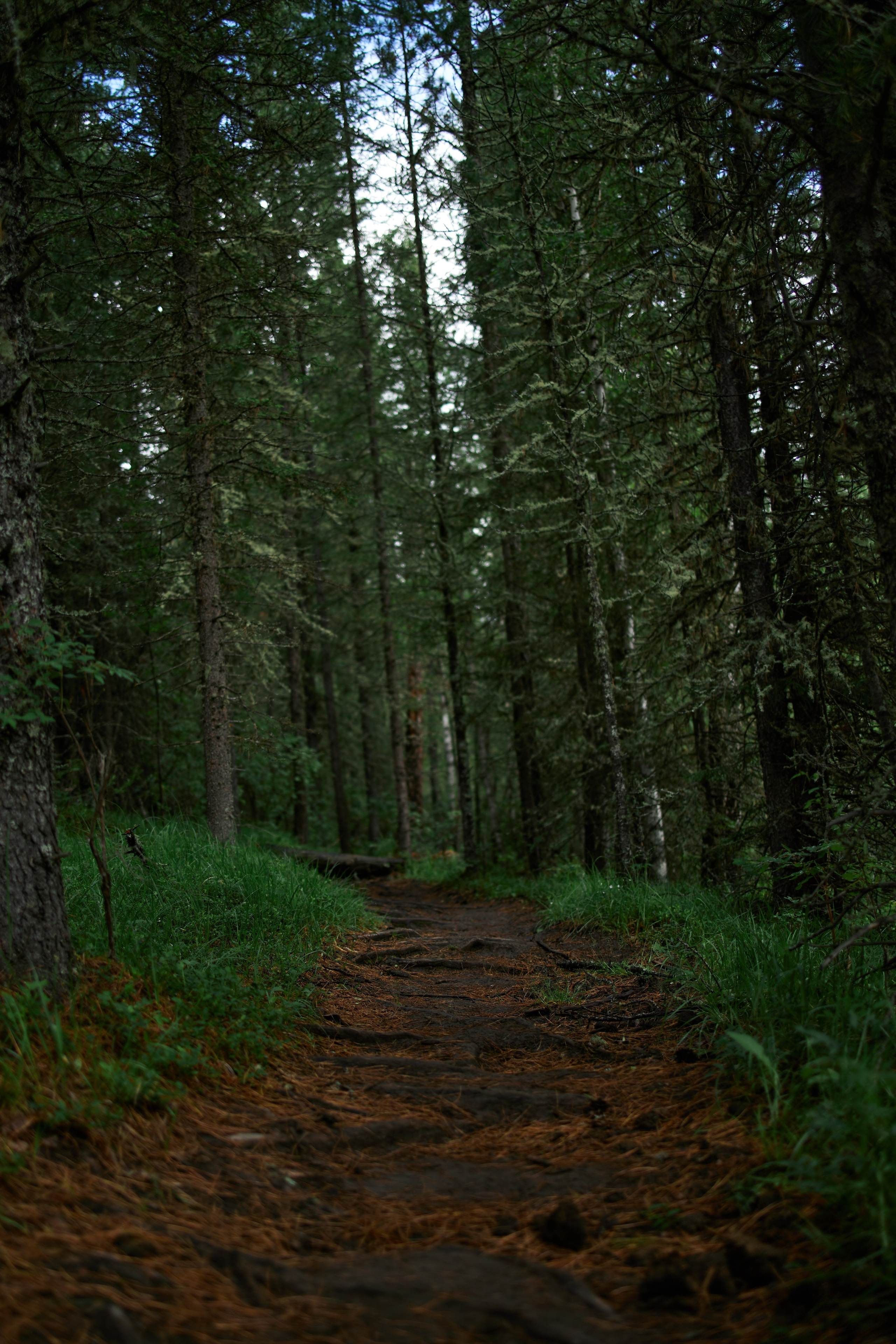 Алтай. Хороший репортажный и промышленный фотограф в Казани Алексей Щелконогов