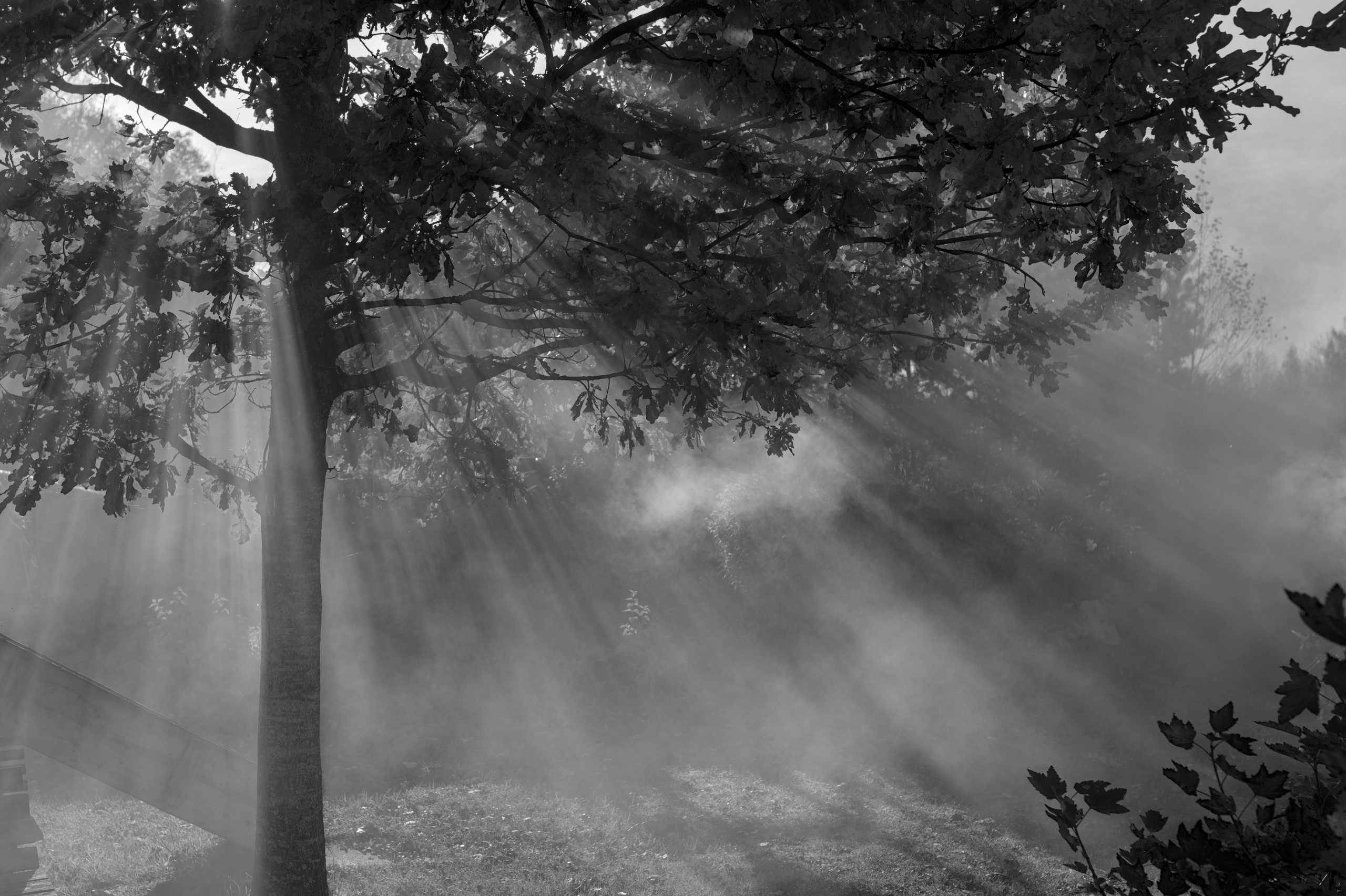 Природа. Фото детских спортивных мероприятий и всякое интересное через объектив