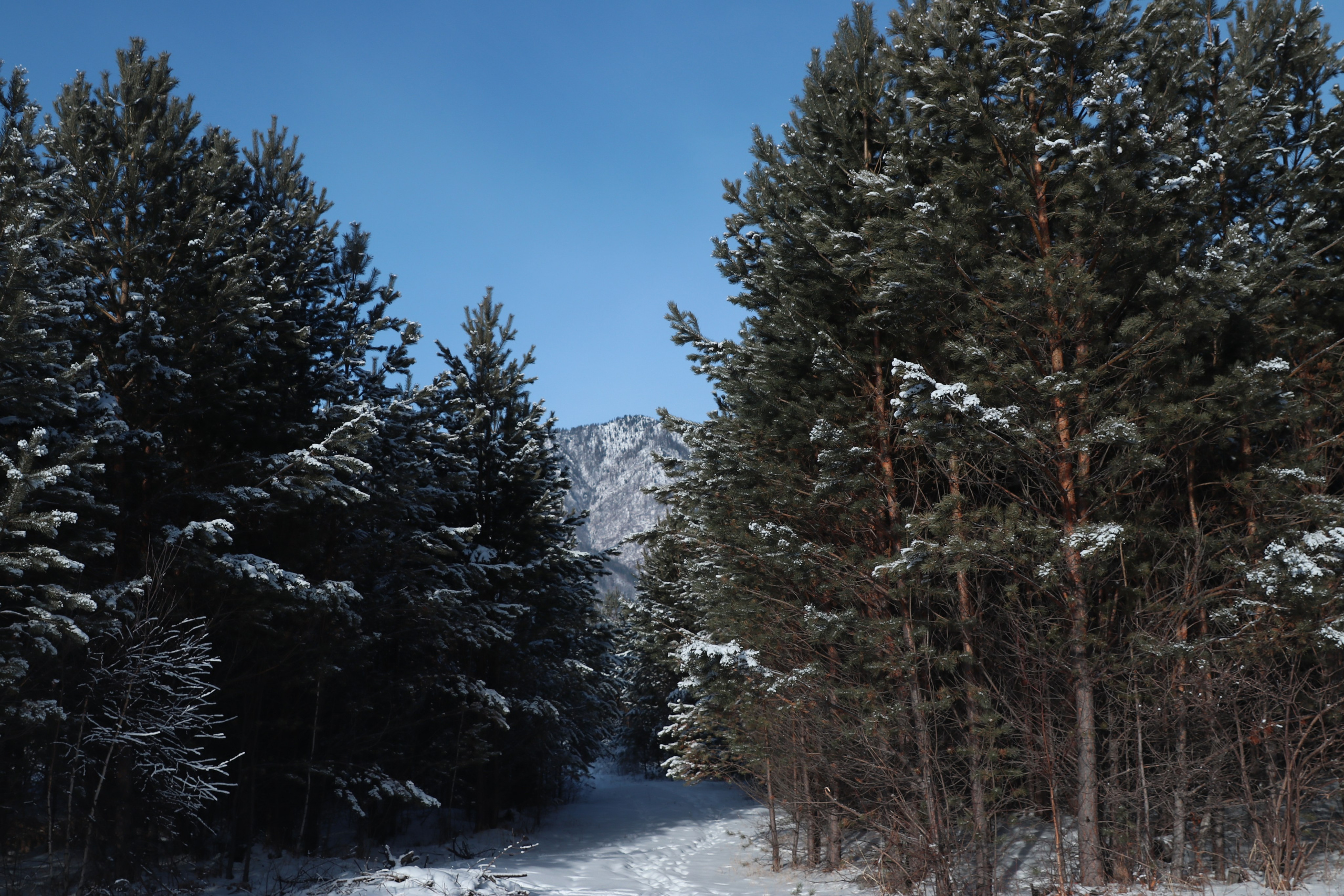 Аршан. Январь 2024. Путешественник-фотограф из Санкт-Петербурга Татьяна Свистулина