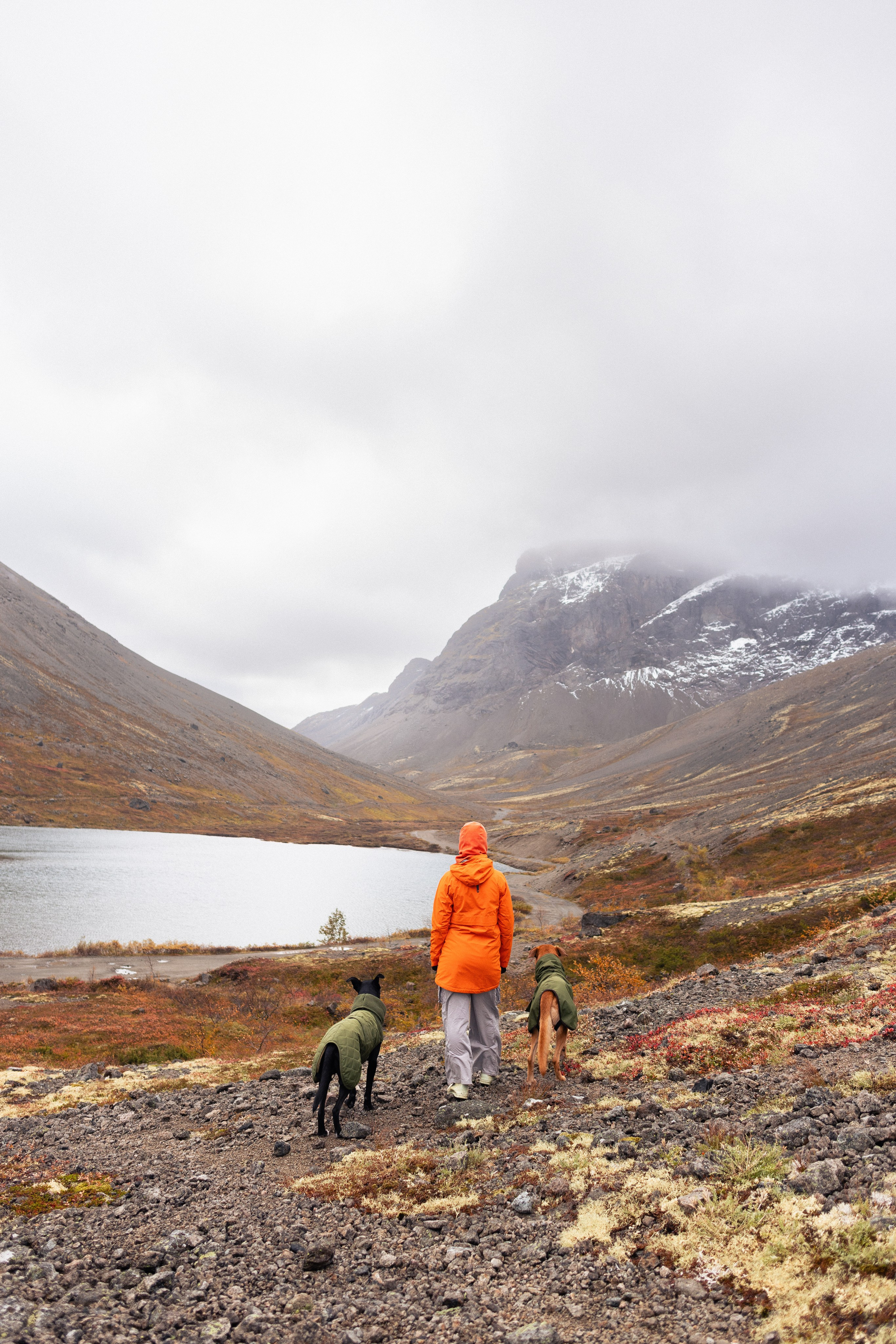 Кольский. Фотограф и видеограф анималист Аганина Дарья