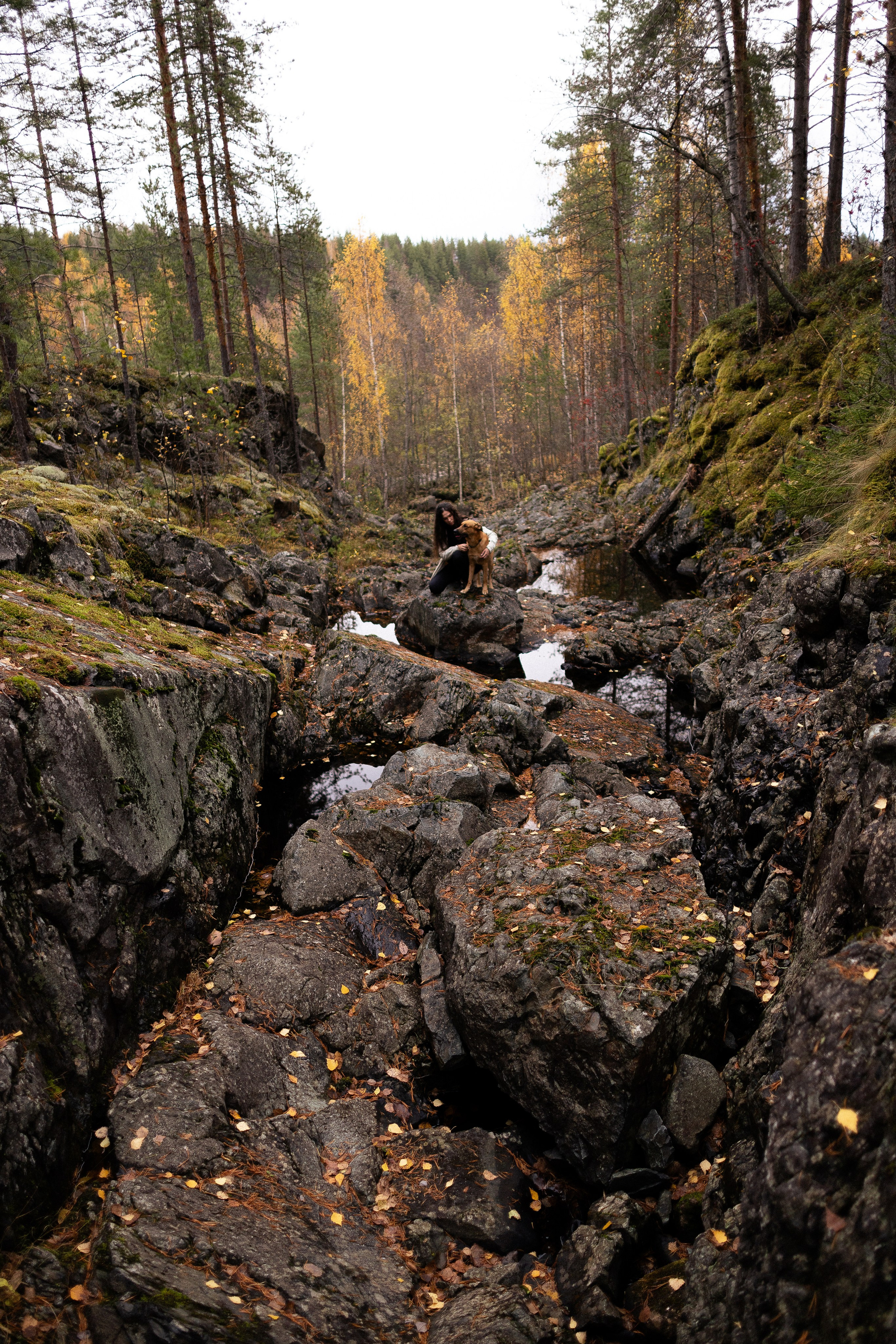 Karelia. Фотограф и видеограф анималист Аганина Дарья
