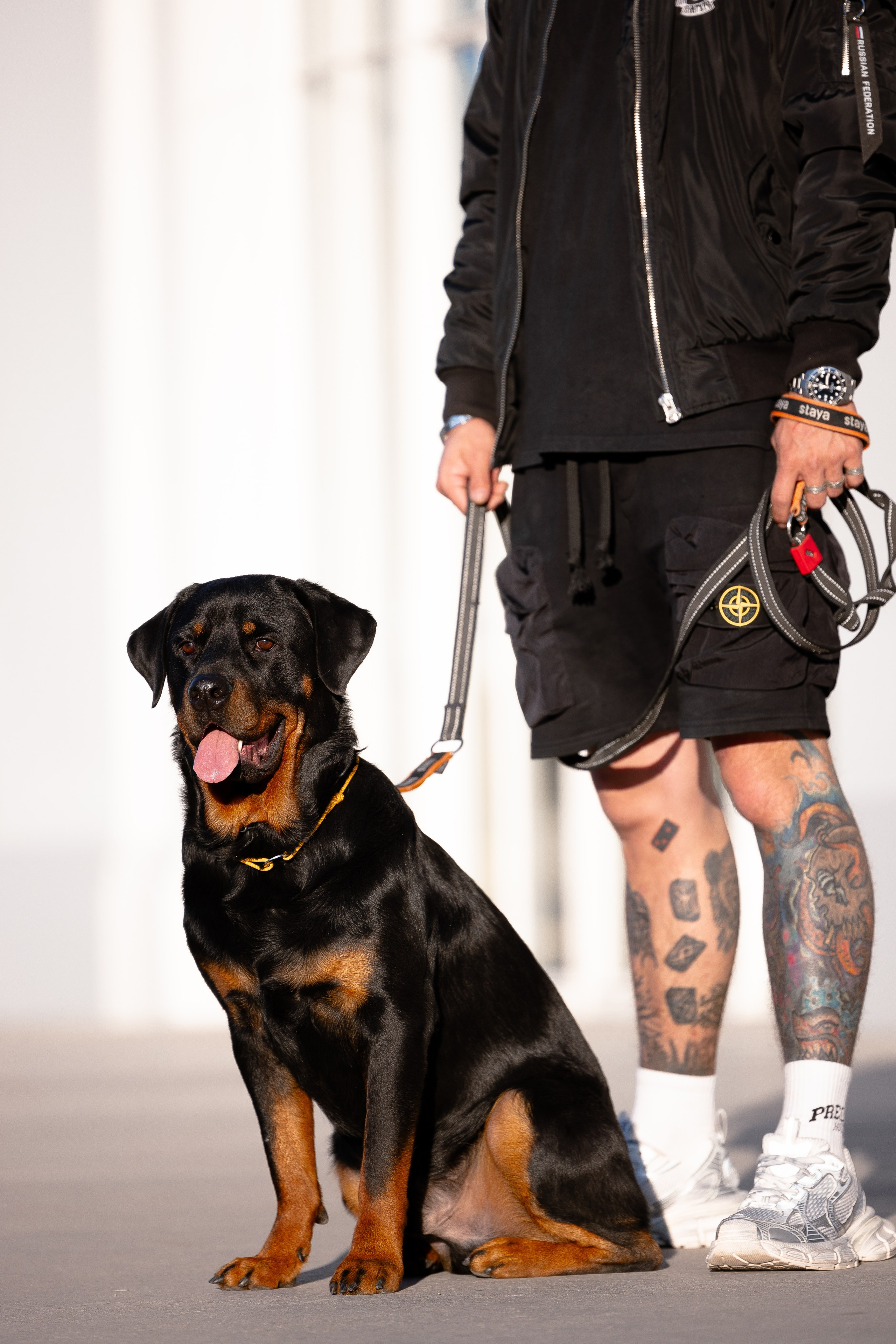 Катя, Леша, Трой и Лея. Фотограф и видеограф анималист Аганина Дарья