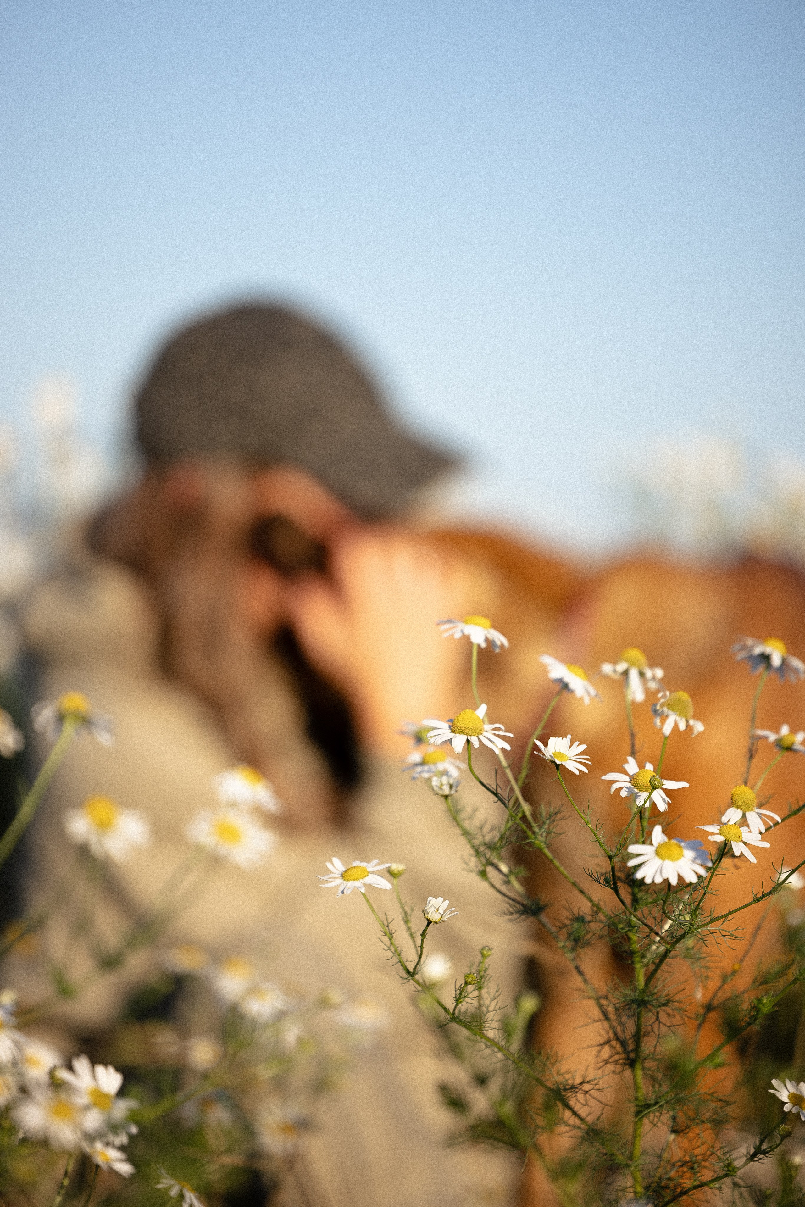 Женя, Афра и Молли. Фотограф и видеограф анималист Аганина Дарья