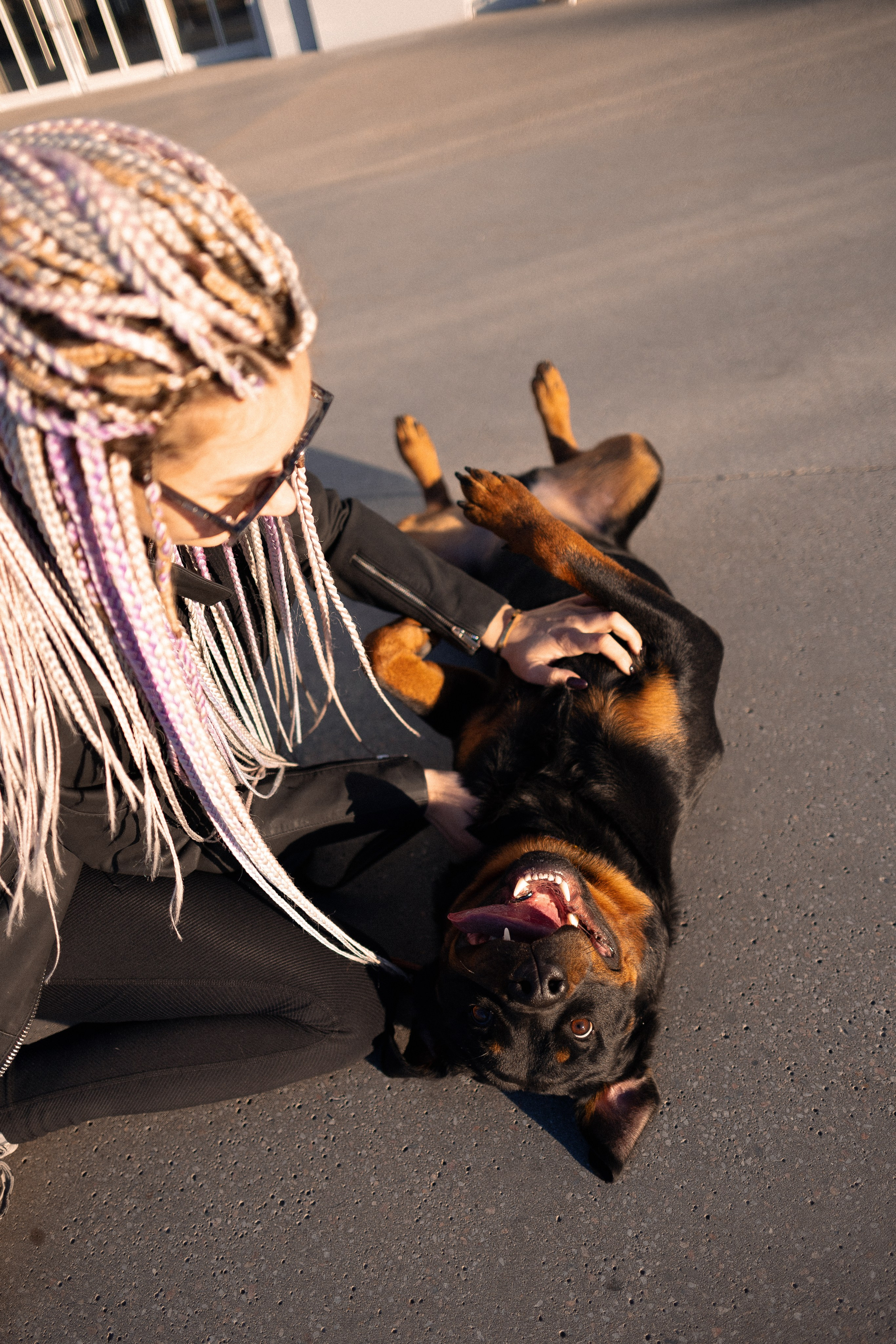 Катя, Леша, Трой и Лея. Фотограф и видеограф анималист Аганина Дарья