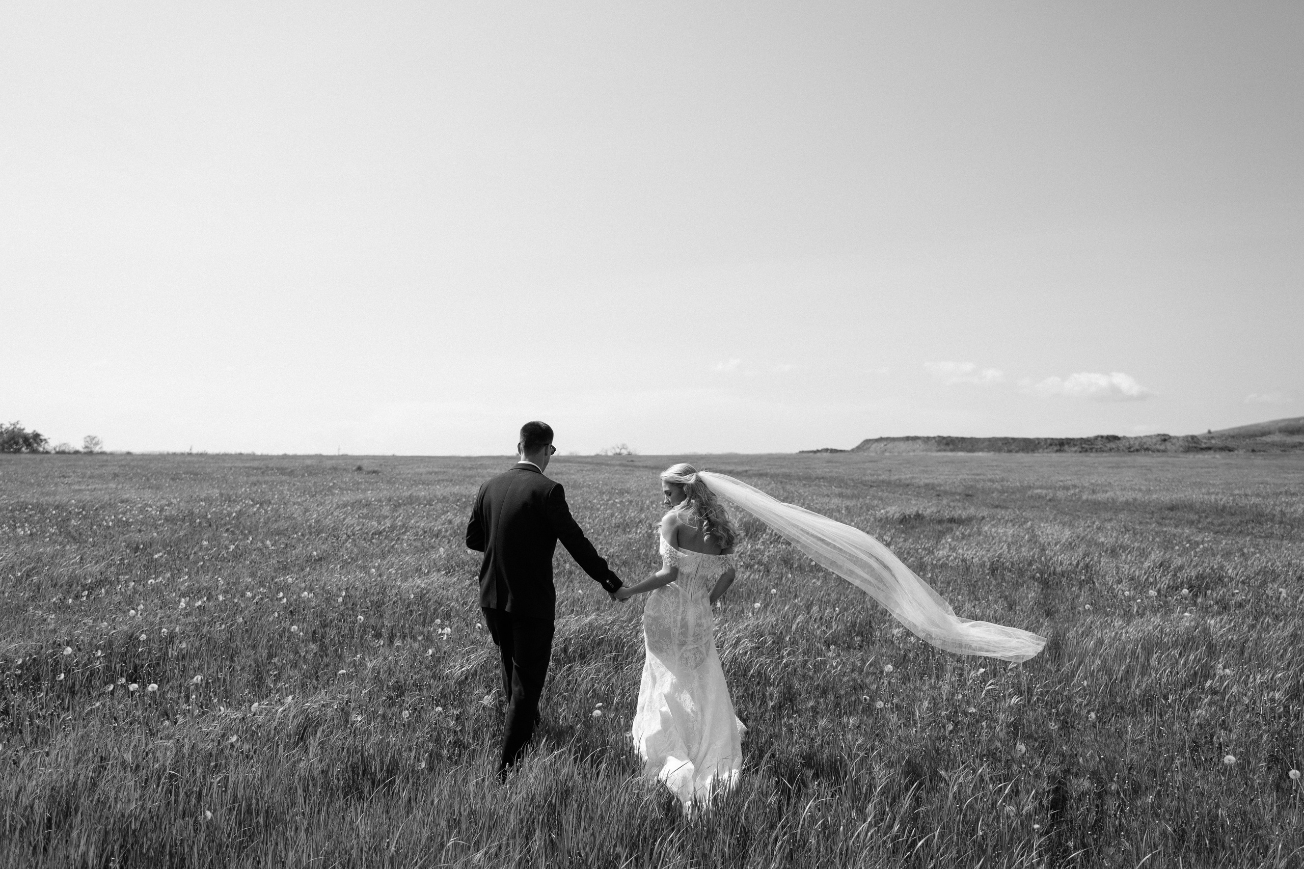 Поле. Фотограф Евстигнеев Илья