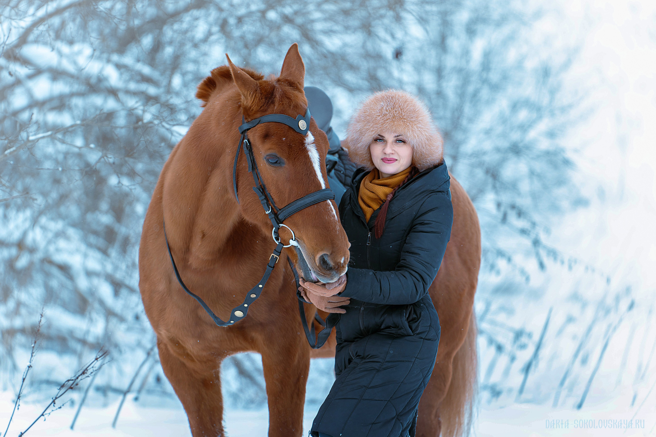 Зимнее поле. Фотограф Дарья Соколовская