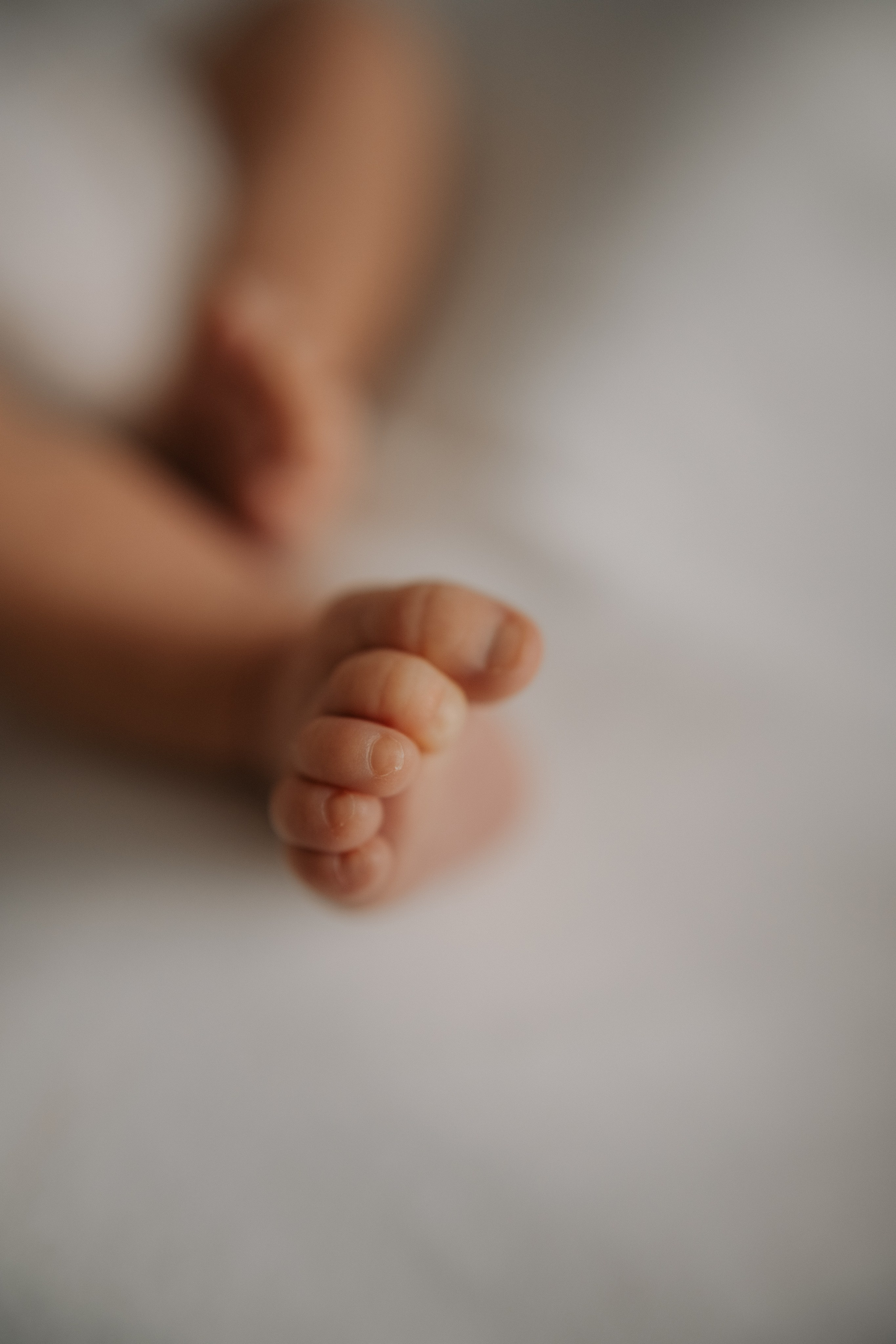 Мирослава. Дьяконова Валерия семейный и детский фотограф в Санкт-Петербурге