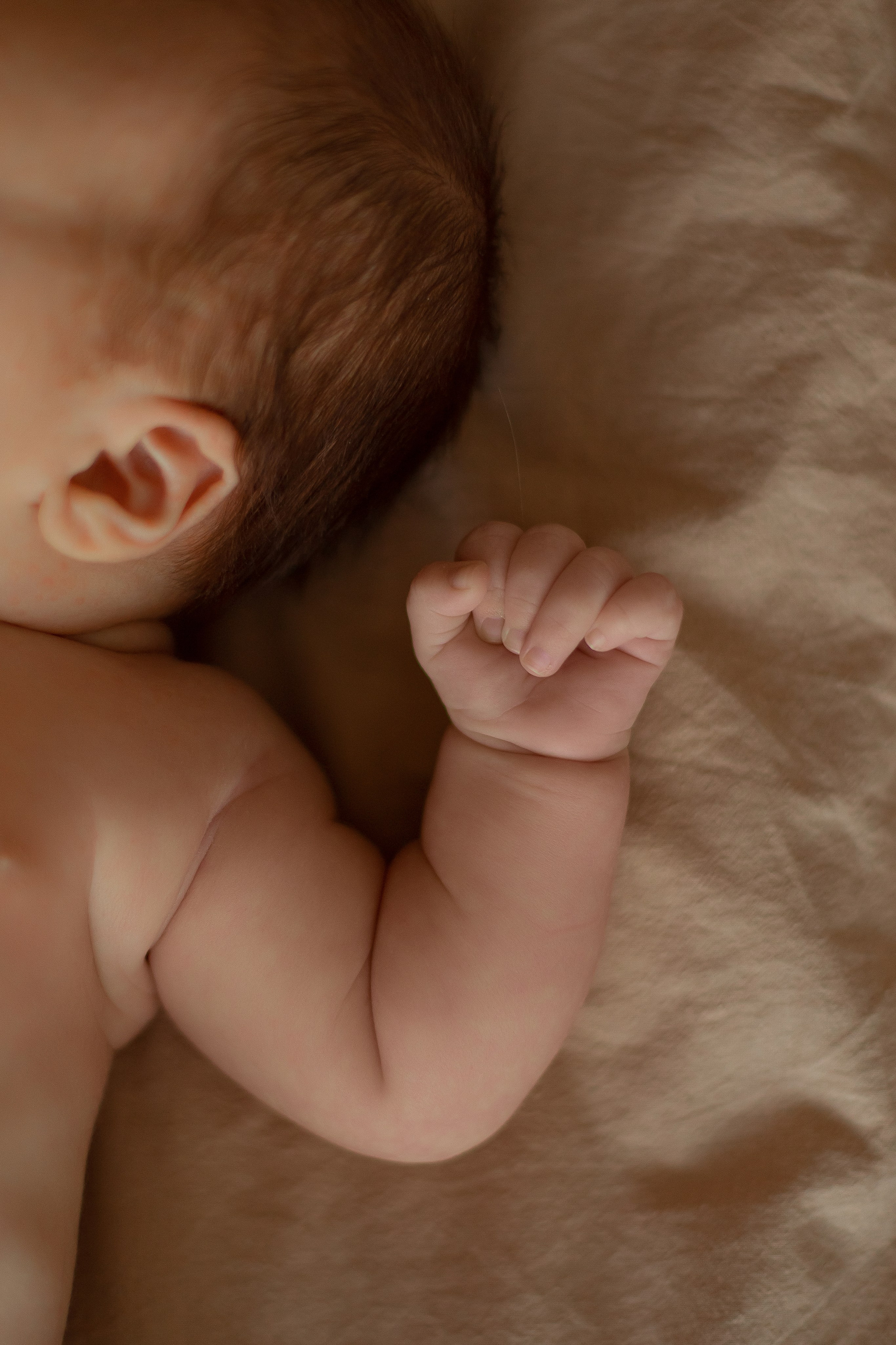 +1. Свадебный и семейный фотограф Арина Кулёва