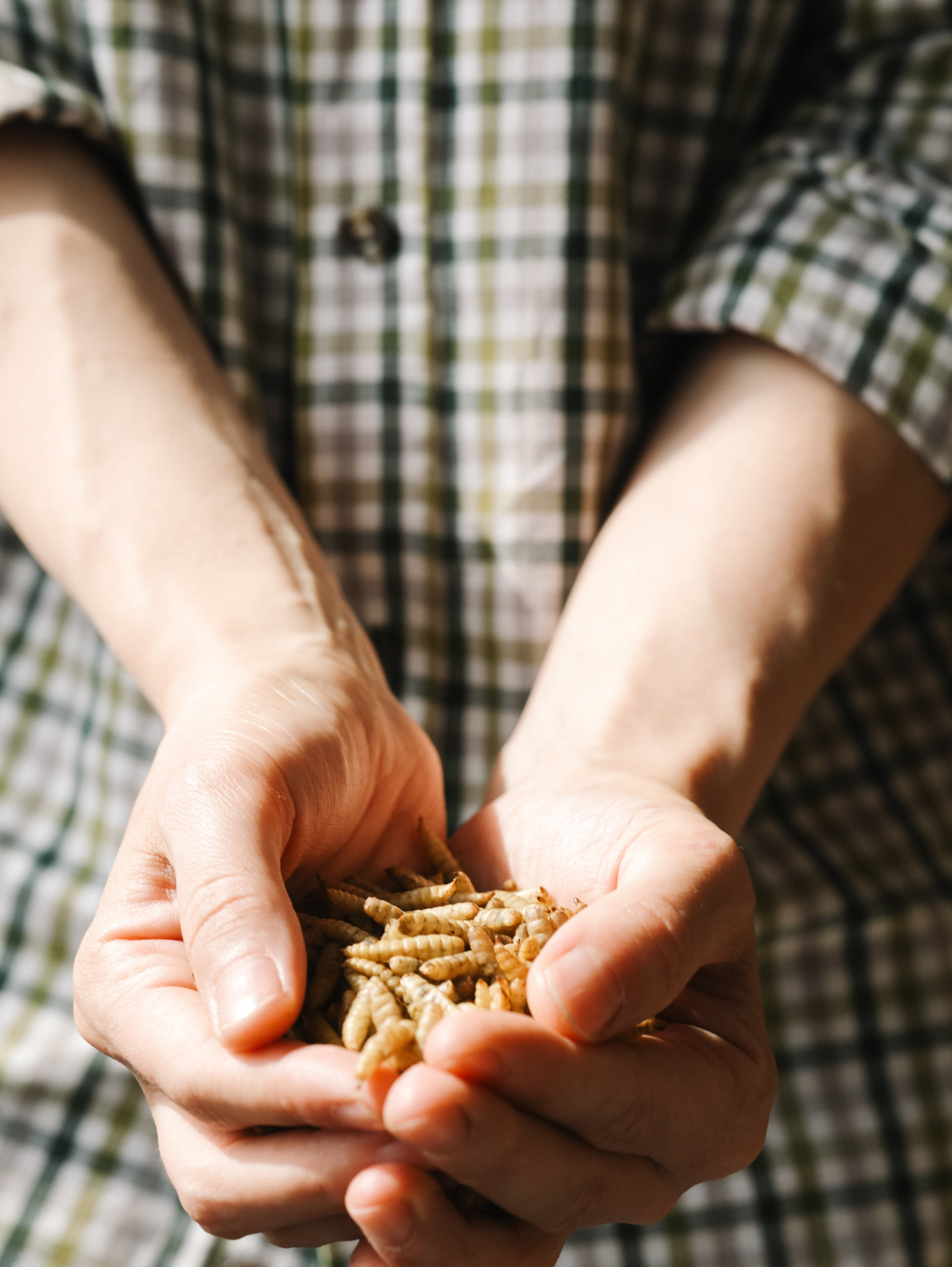 Корм для животных. Алёна Стерхова — Предметный и портретный фотограф. Ижевск