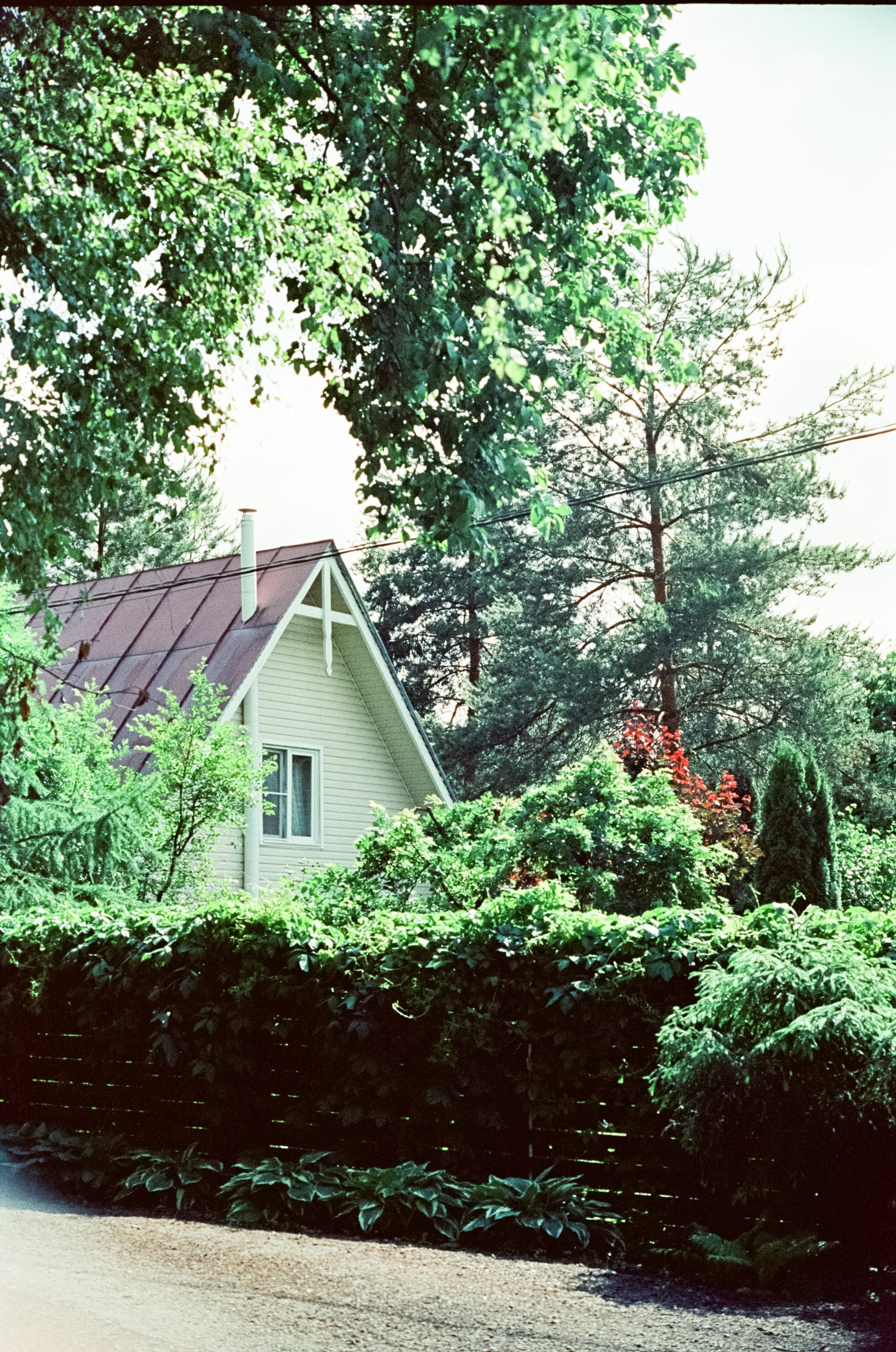 Kodak Vision 3 500T примеры фотографий