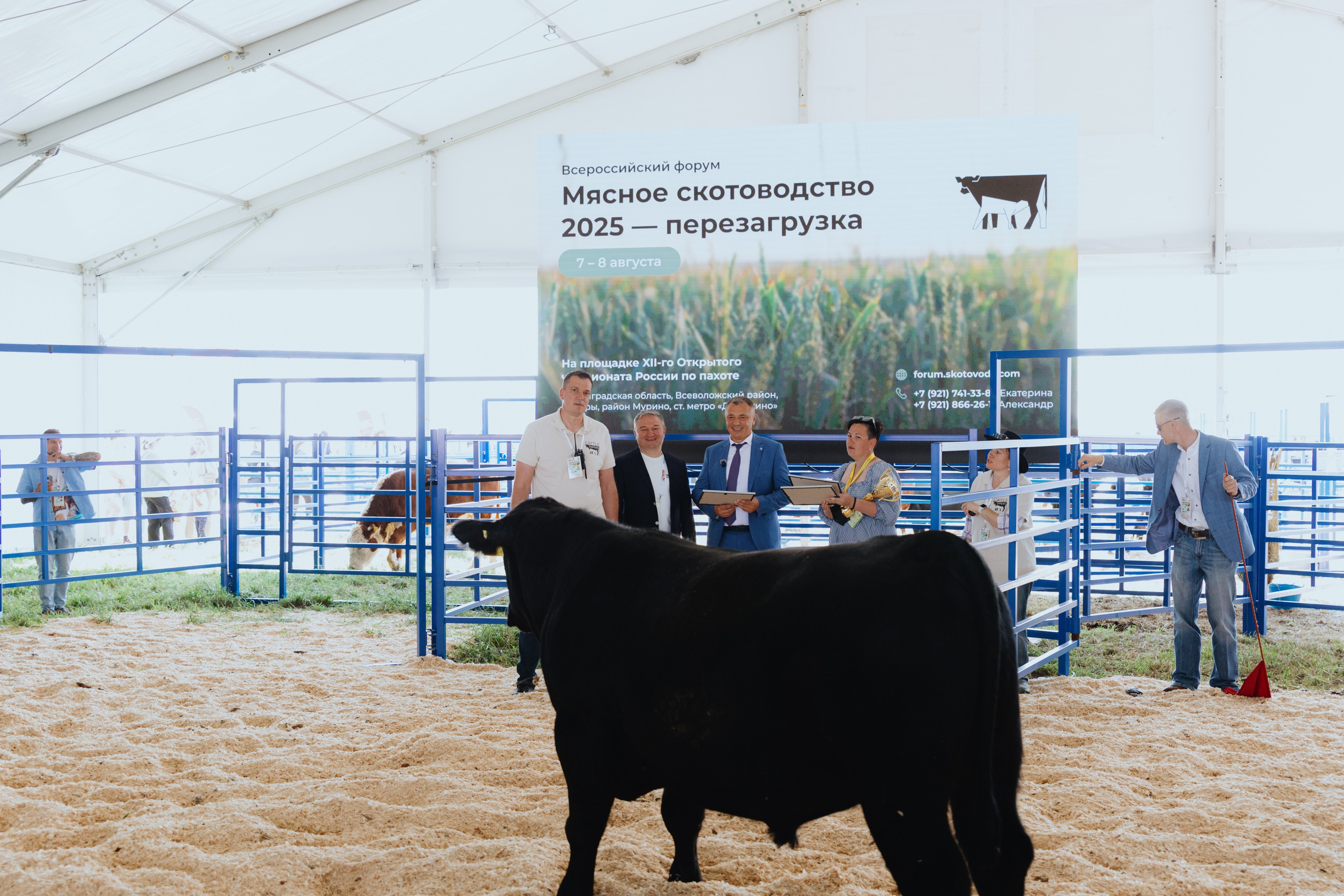Россельхозбанк. Фотограф в Москве и Санкт-Петербурге Дарина