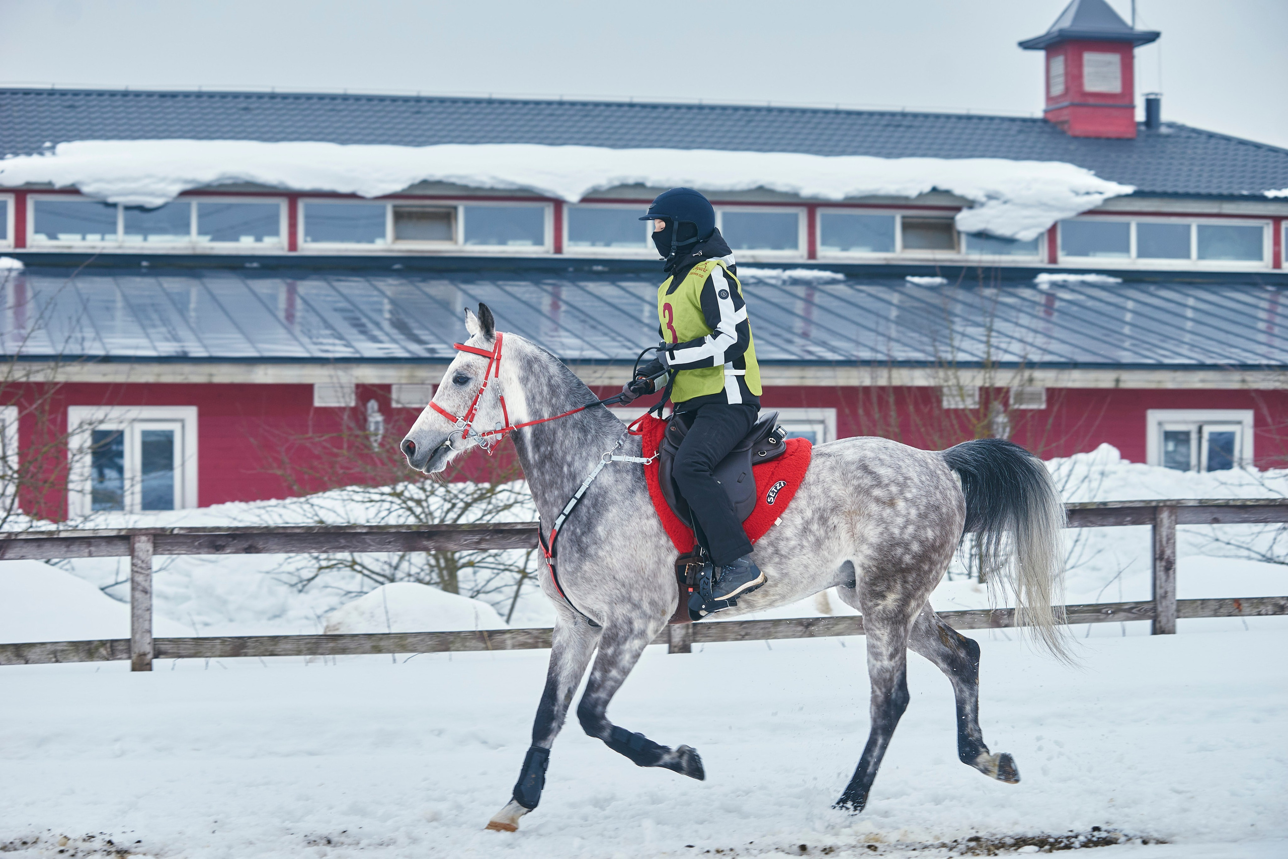 HORSE RACING. Фотограф Наталья Леонова