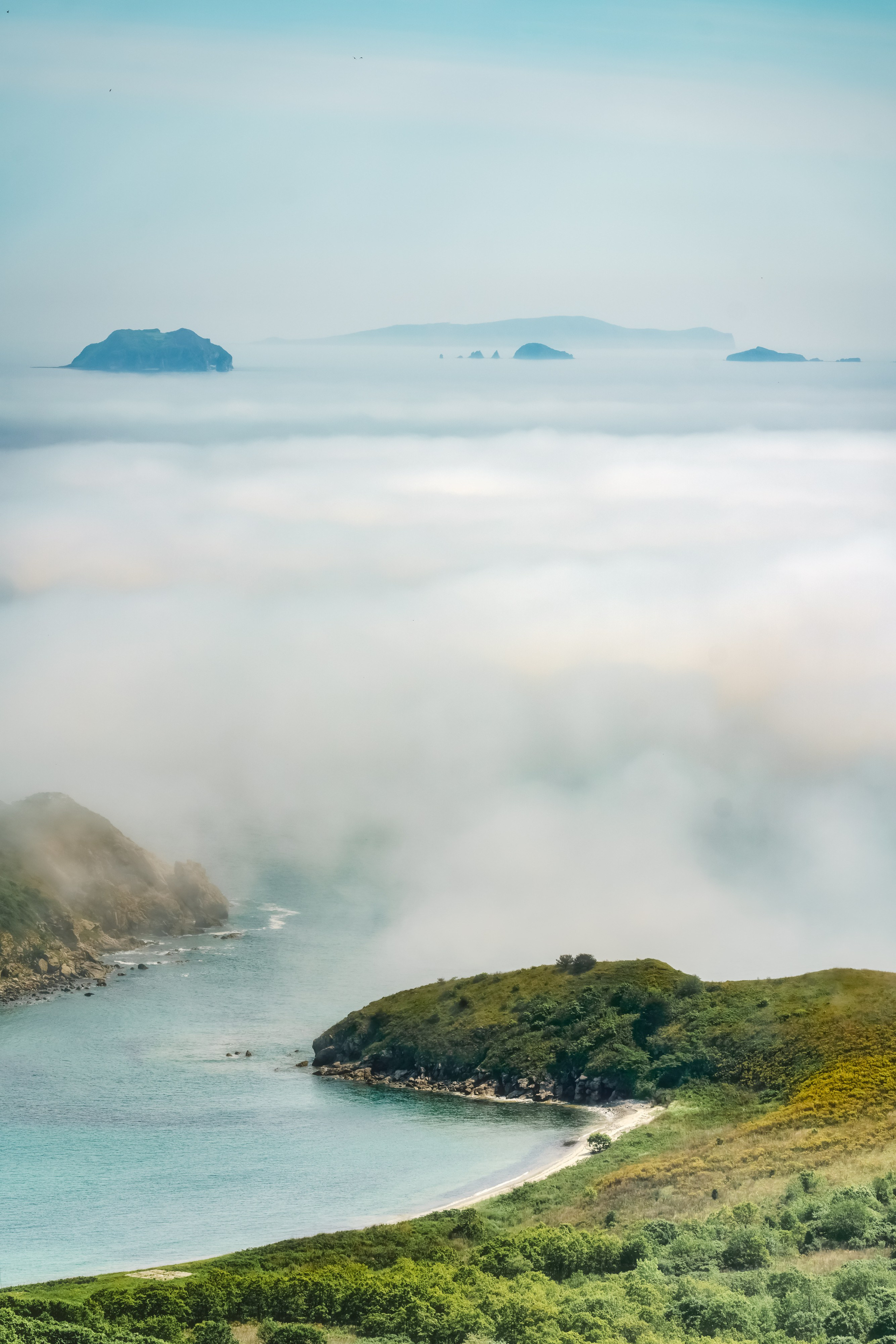 Весеннее Приморье. Май