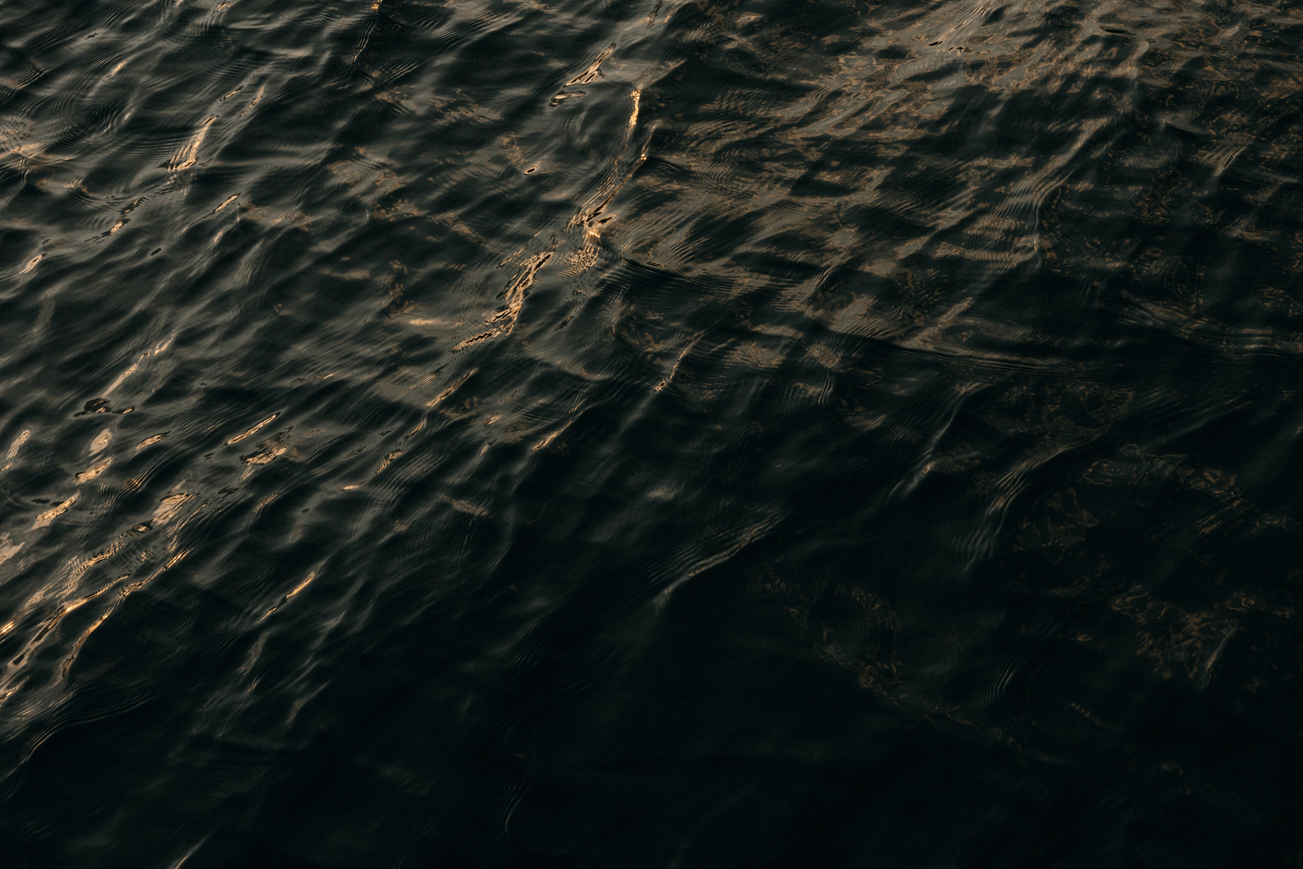 A&K. Свадебный фотограф в Красноярске Абраменко Настя