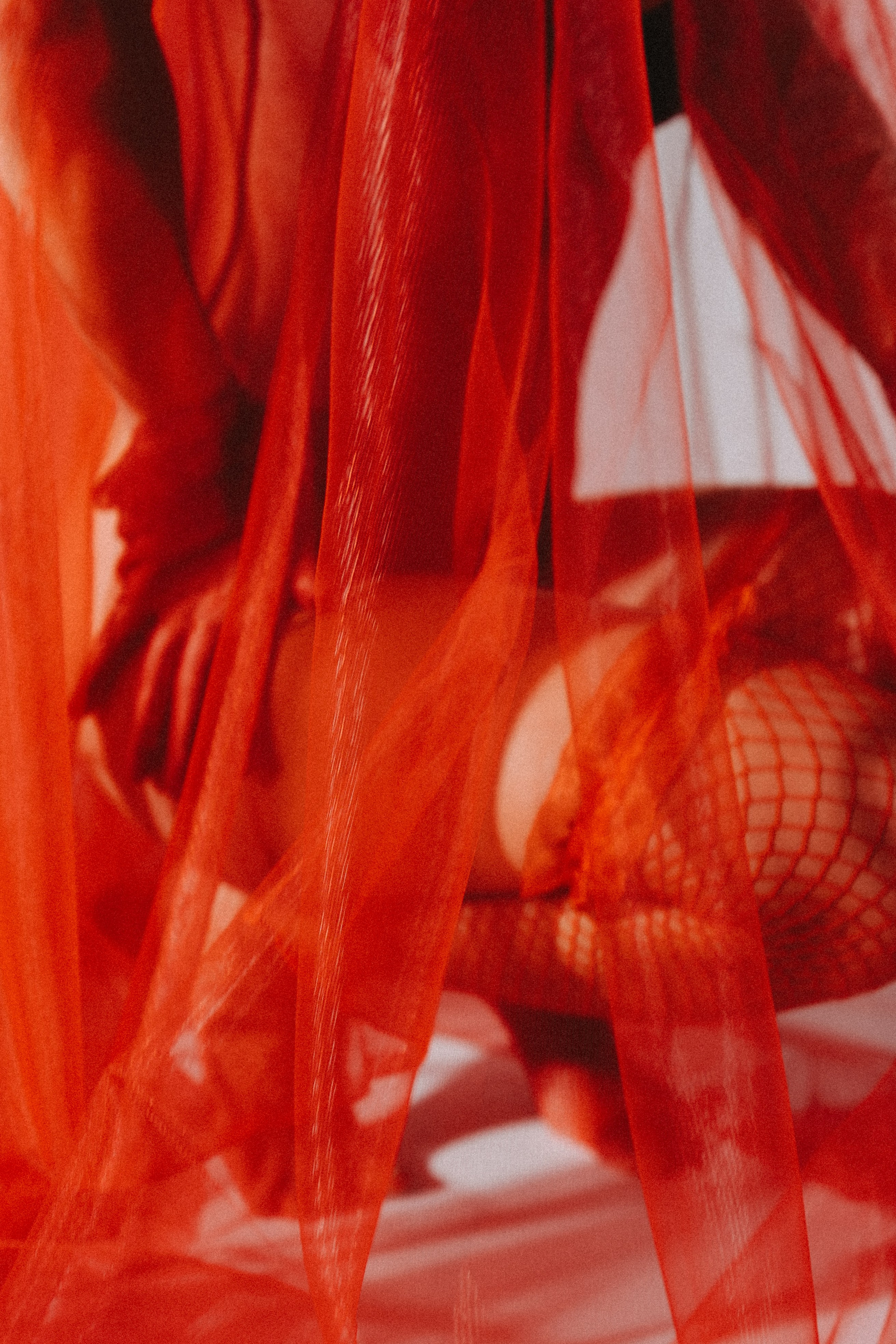 Творческая история для девушки. Профессиональный фотограф, Санкт-Петербург — Виктория Богомолова