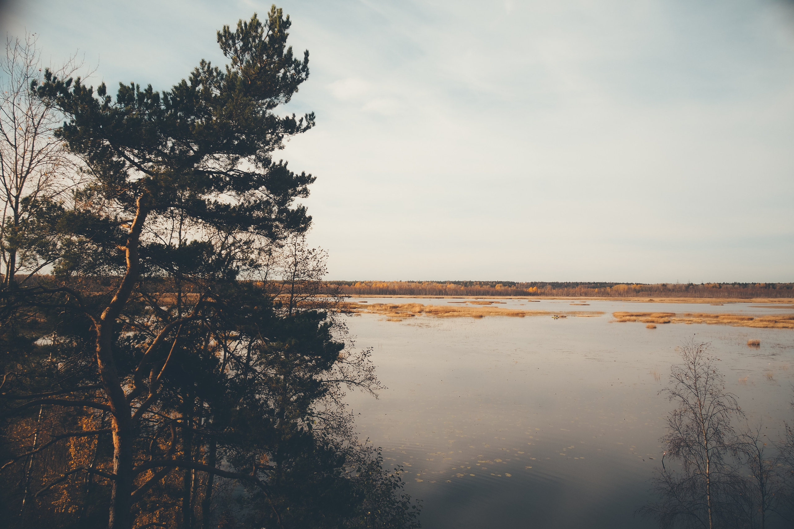 Раковые озера. Свадебный фотограф Копков Геннадий