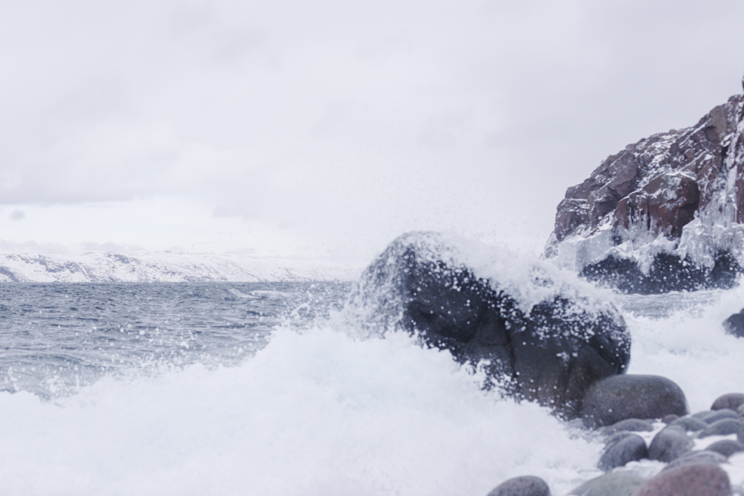 Фото с прогулок и с поездок на Кольский полуостров