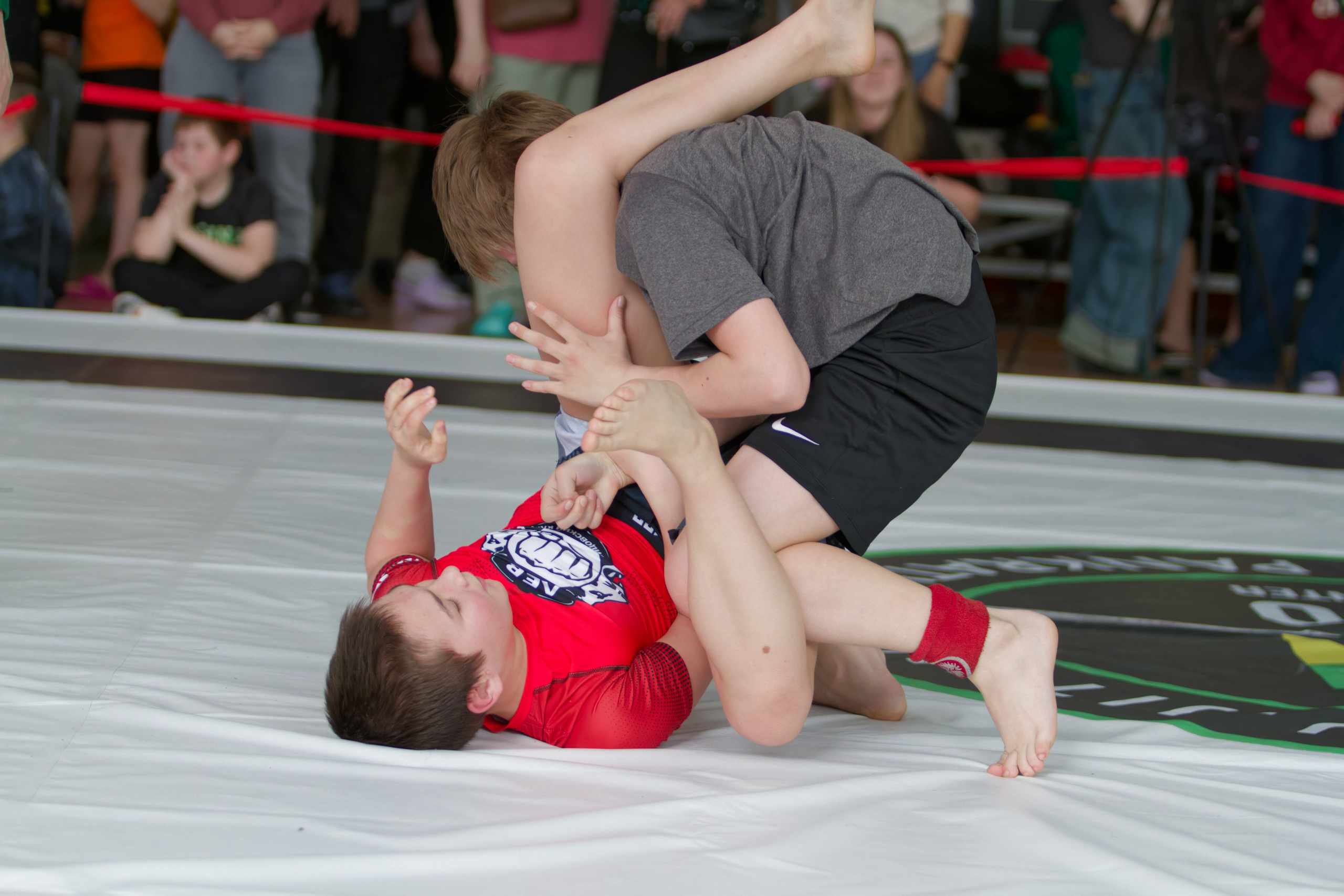 Борьба. Джиу-джитсу 26.04.2025. Репортажный и спортивный фотограф в г. Пермь Зильберг Павел