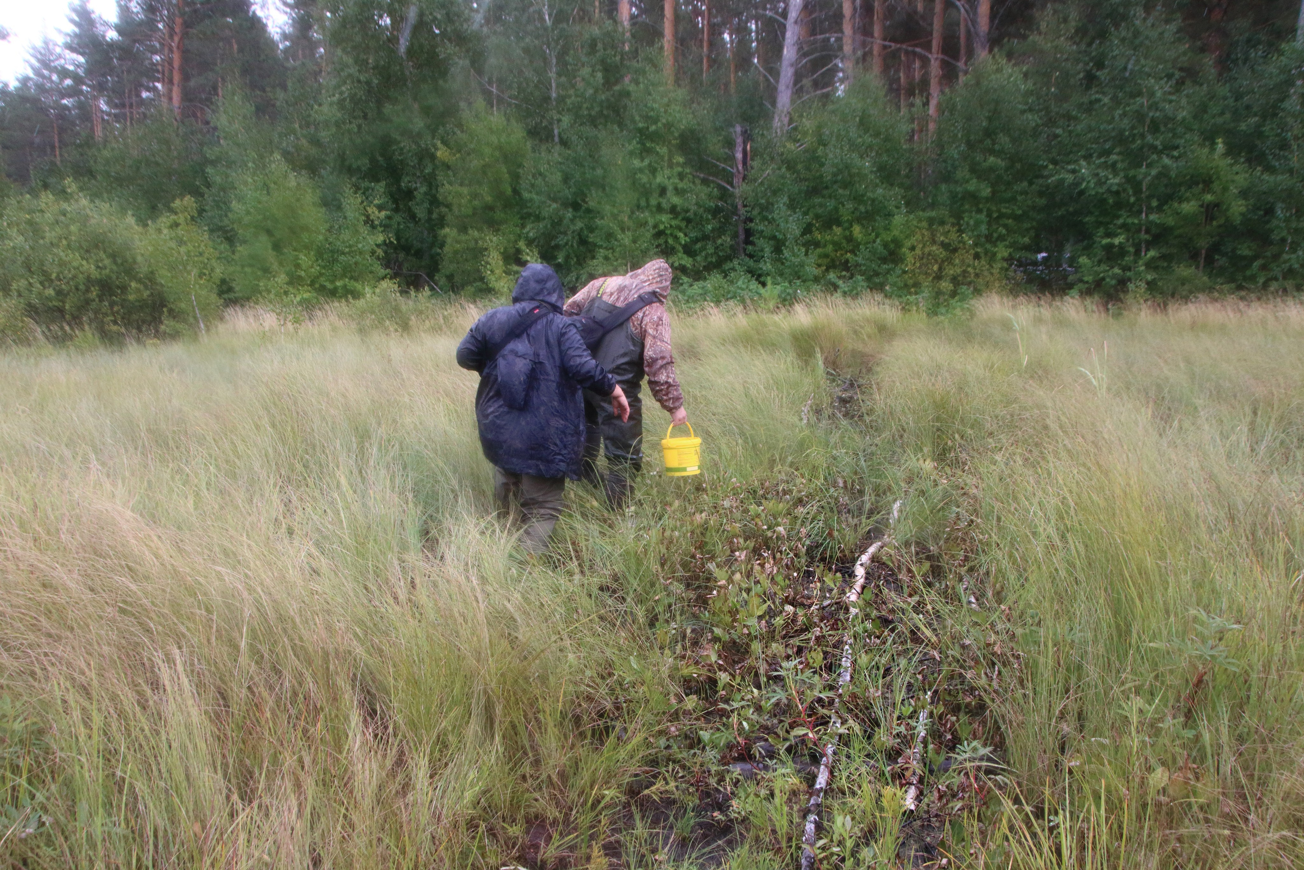27.08.2019 Фотопленэр на болоте Самарская обл., Шигонский р-н. Фотообъединение Самарского областного отделения Союза журналистов России