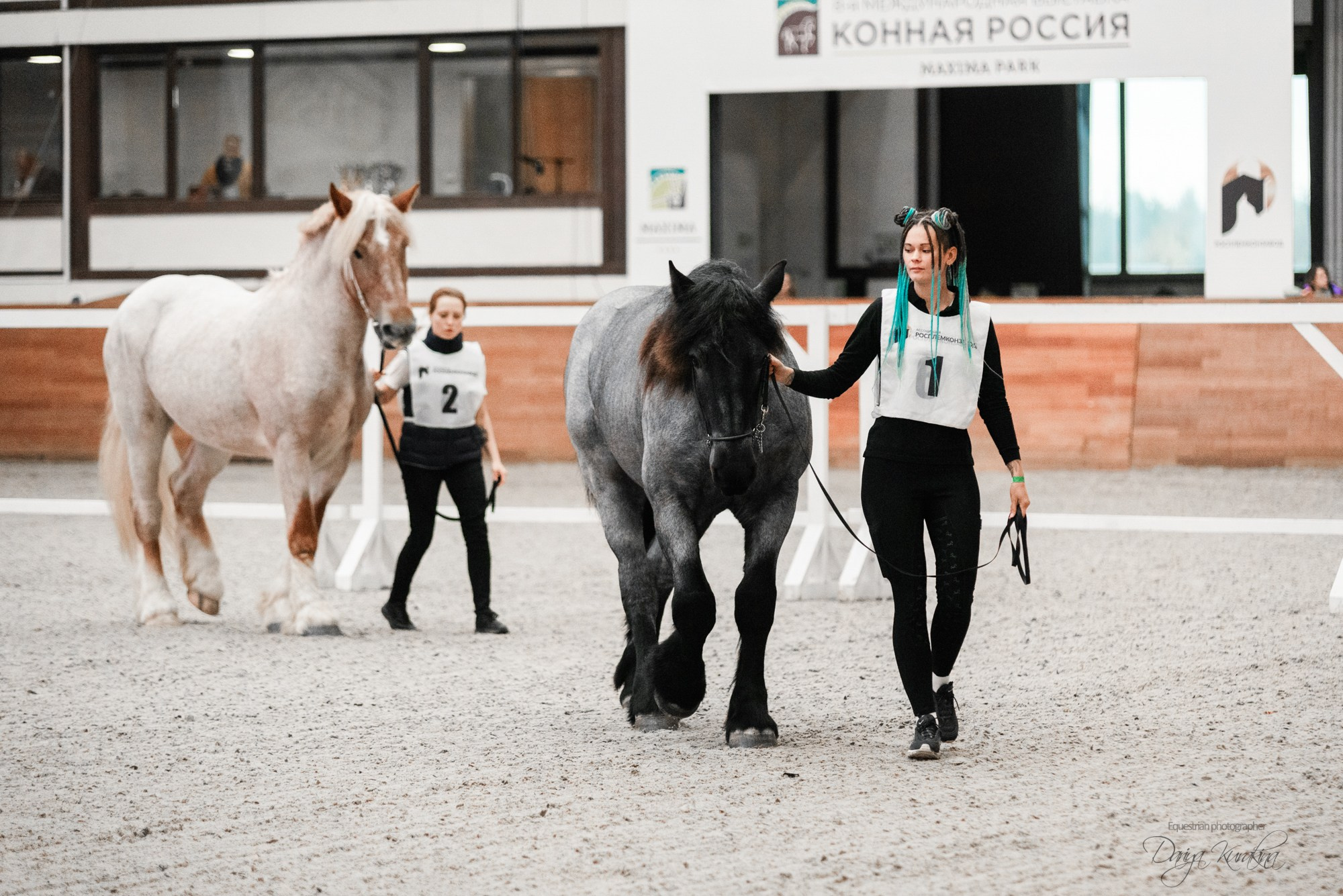 8-я международная выставка Конная Россия. Конный фотограф Куракина Дарья • Фотосессии с лошадьми