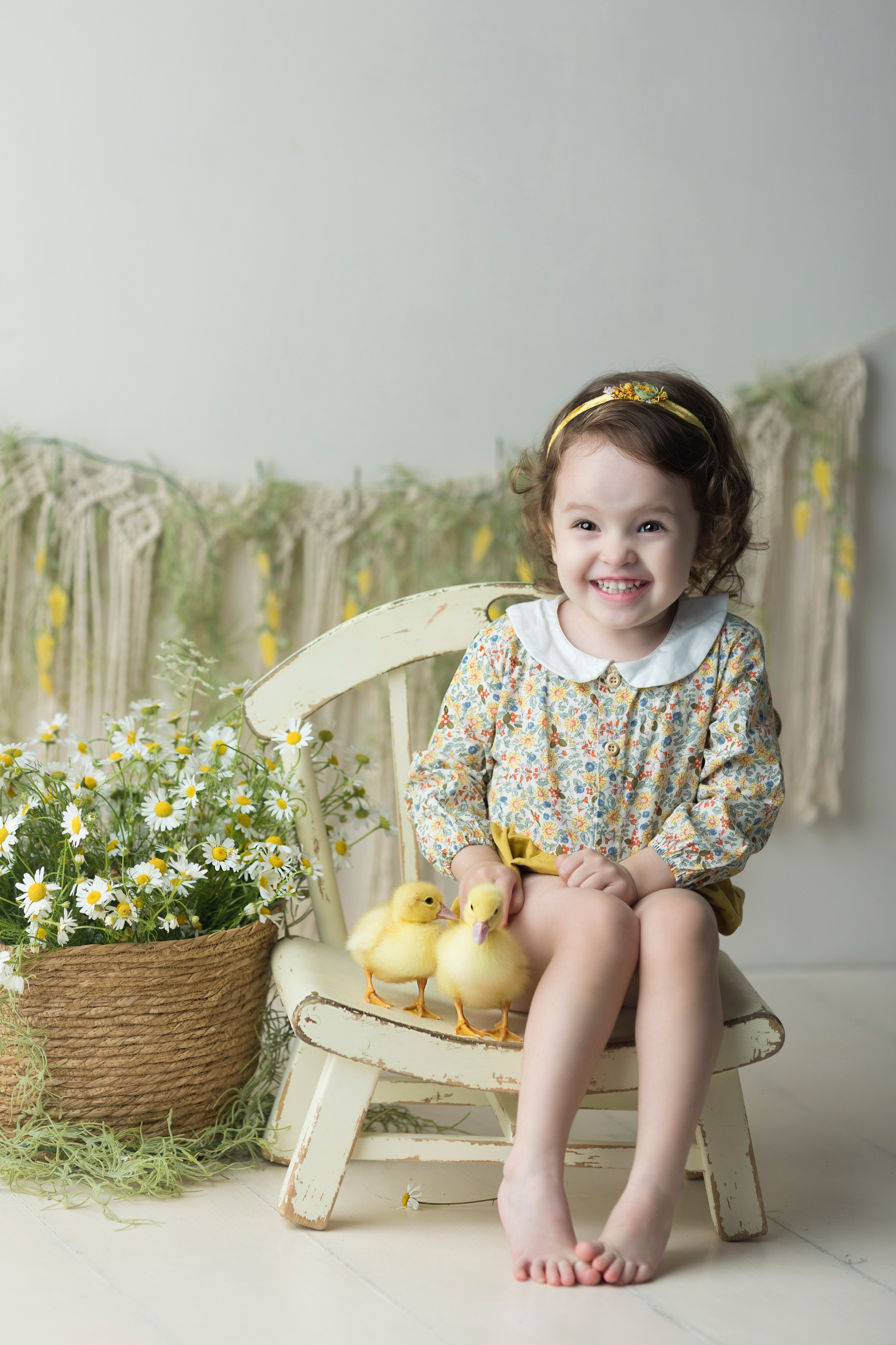 Утки. Главная