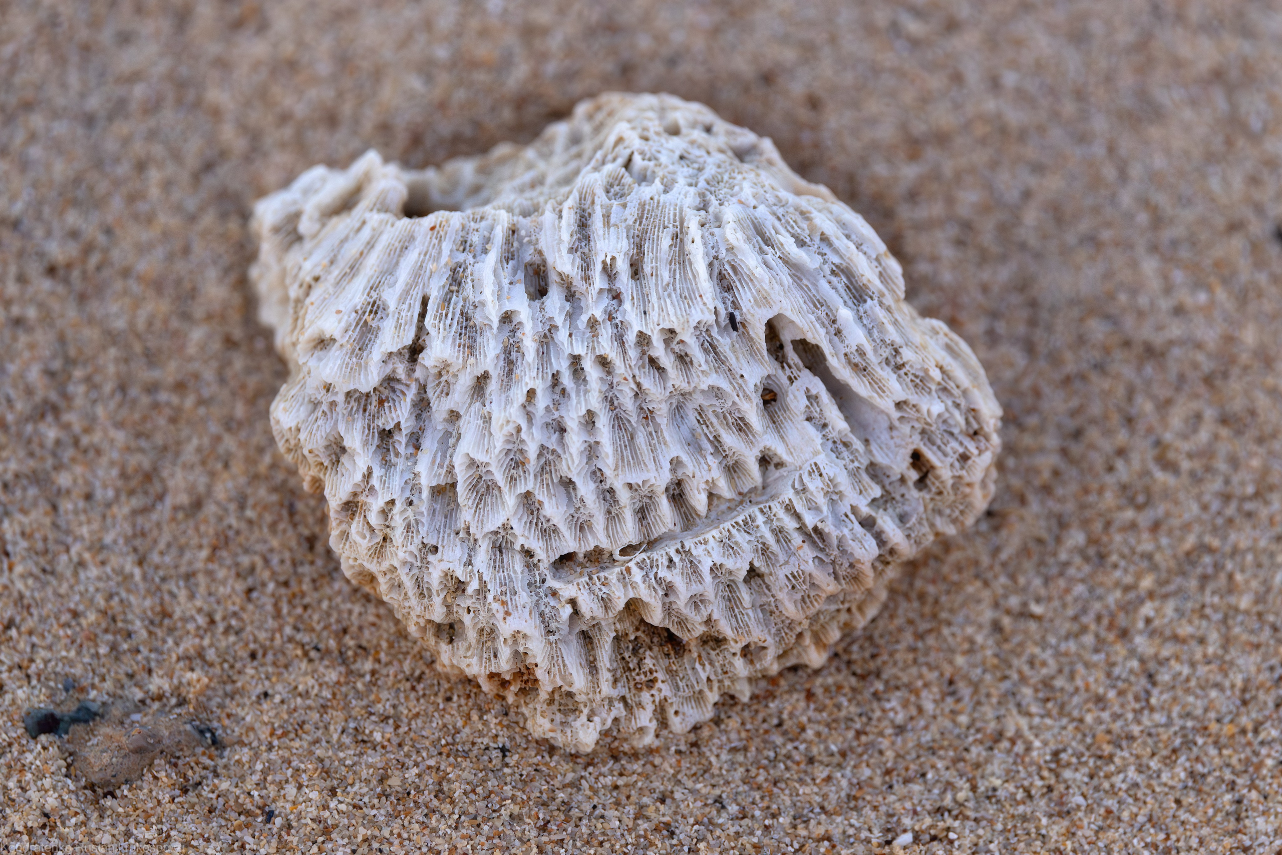 Пхукет. Архитектурный и пейзажный фотограф Кондратенко Руслан, Санкт-Петербург