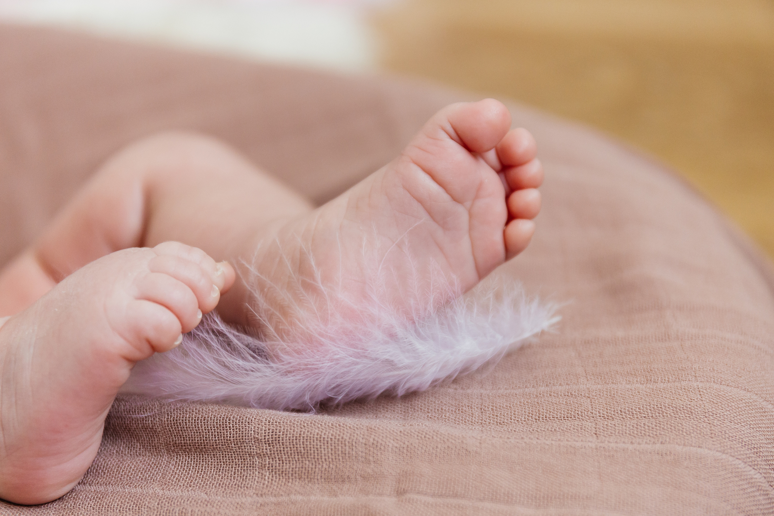 Семейная фотосессия. Главная