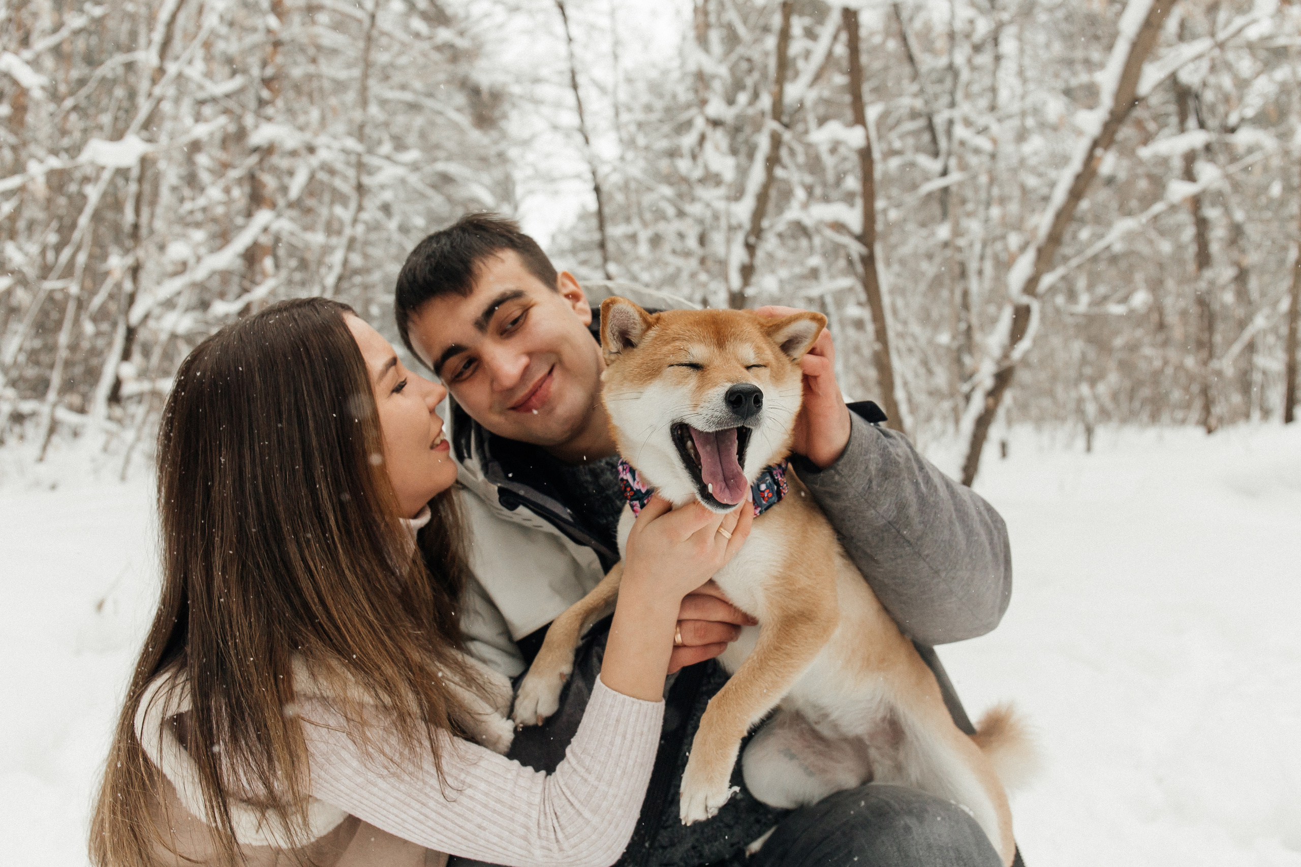 Love Story. Главная