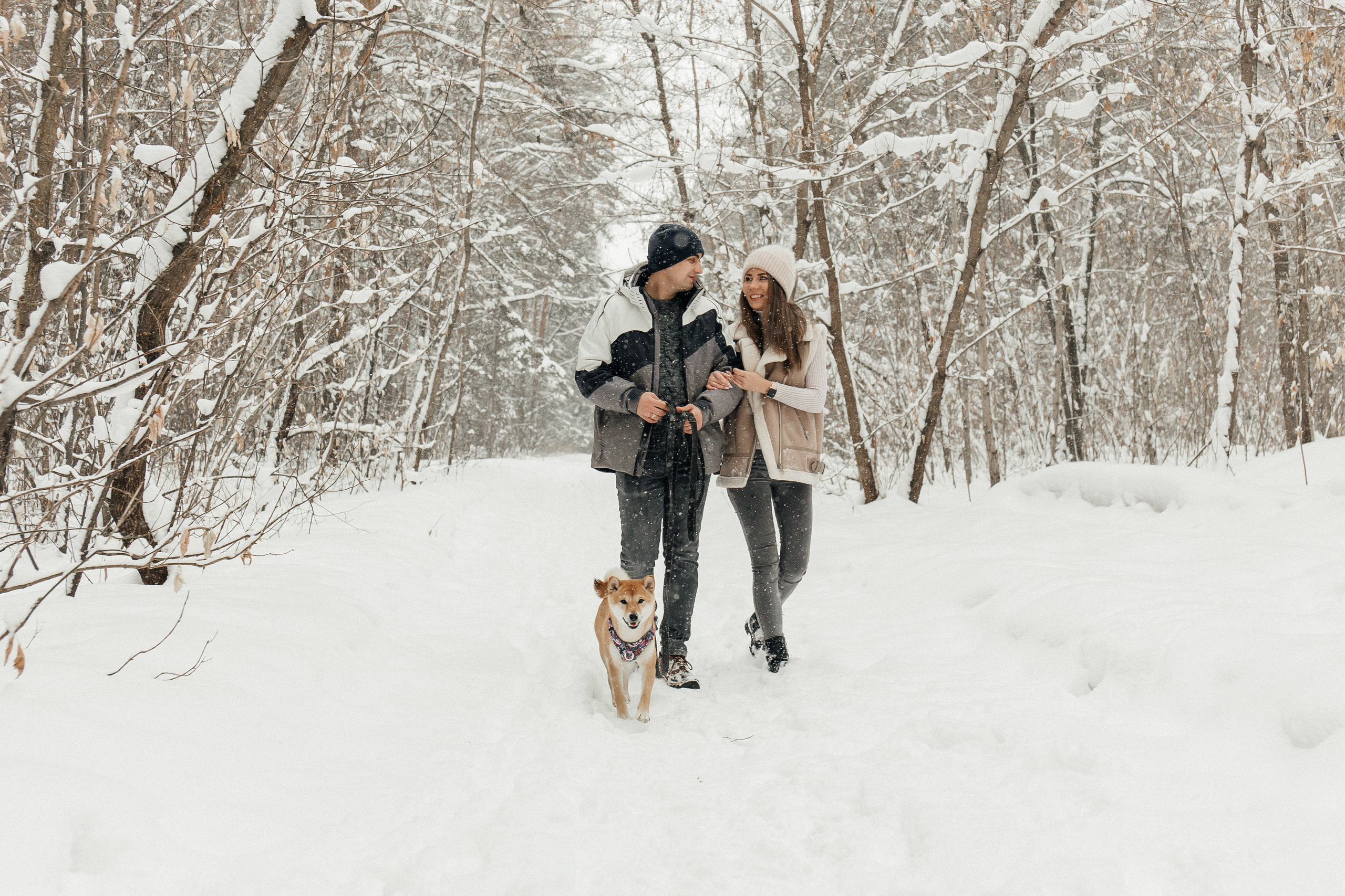Love Story. Главная