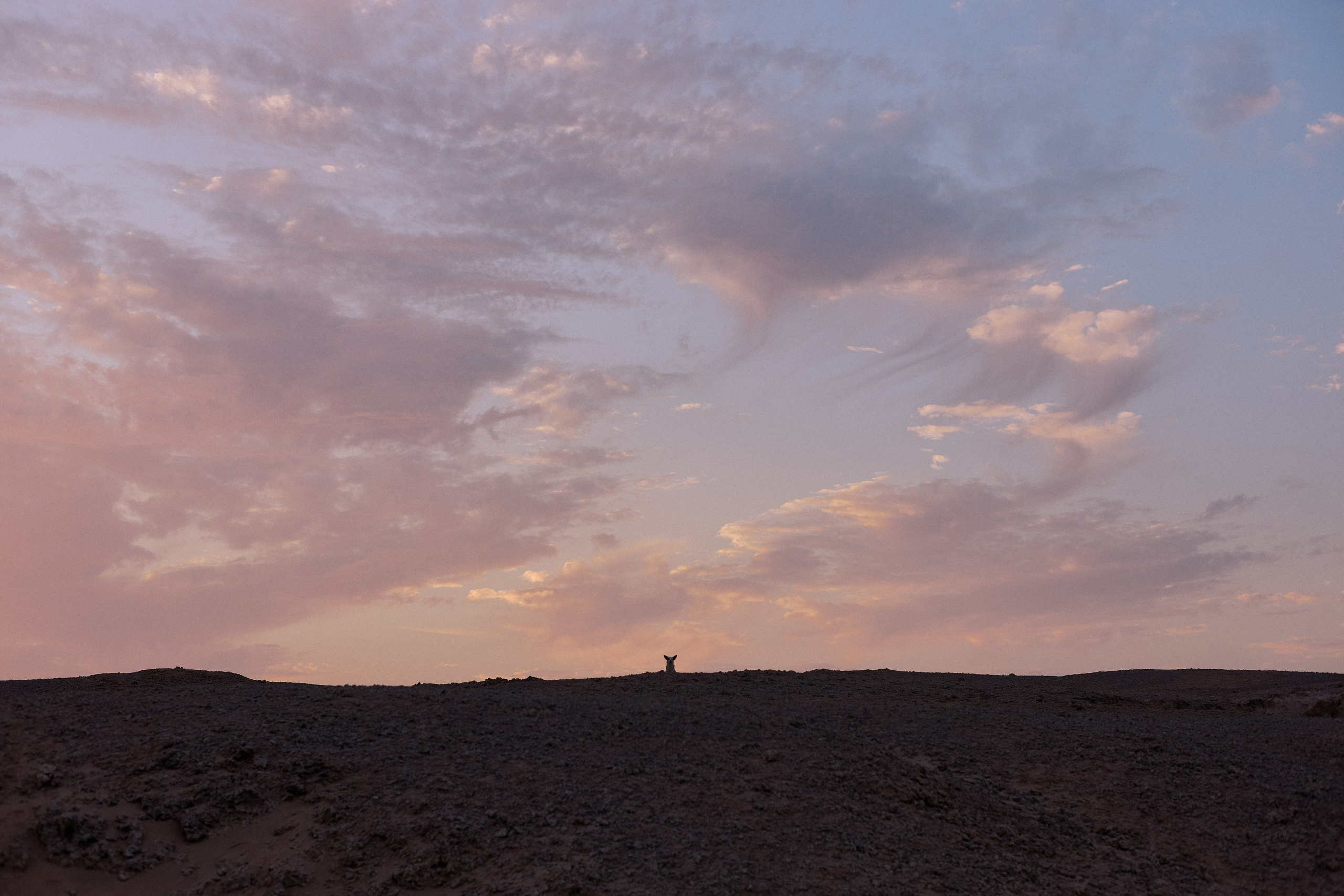 Другое 4. Jorgis — фотограф в Хургаде / обучение фотографии