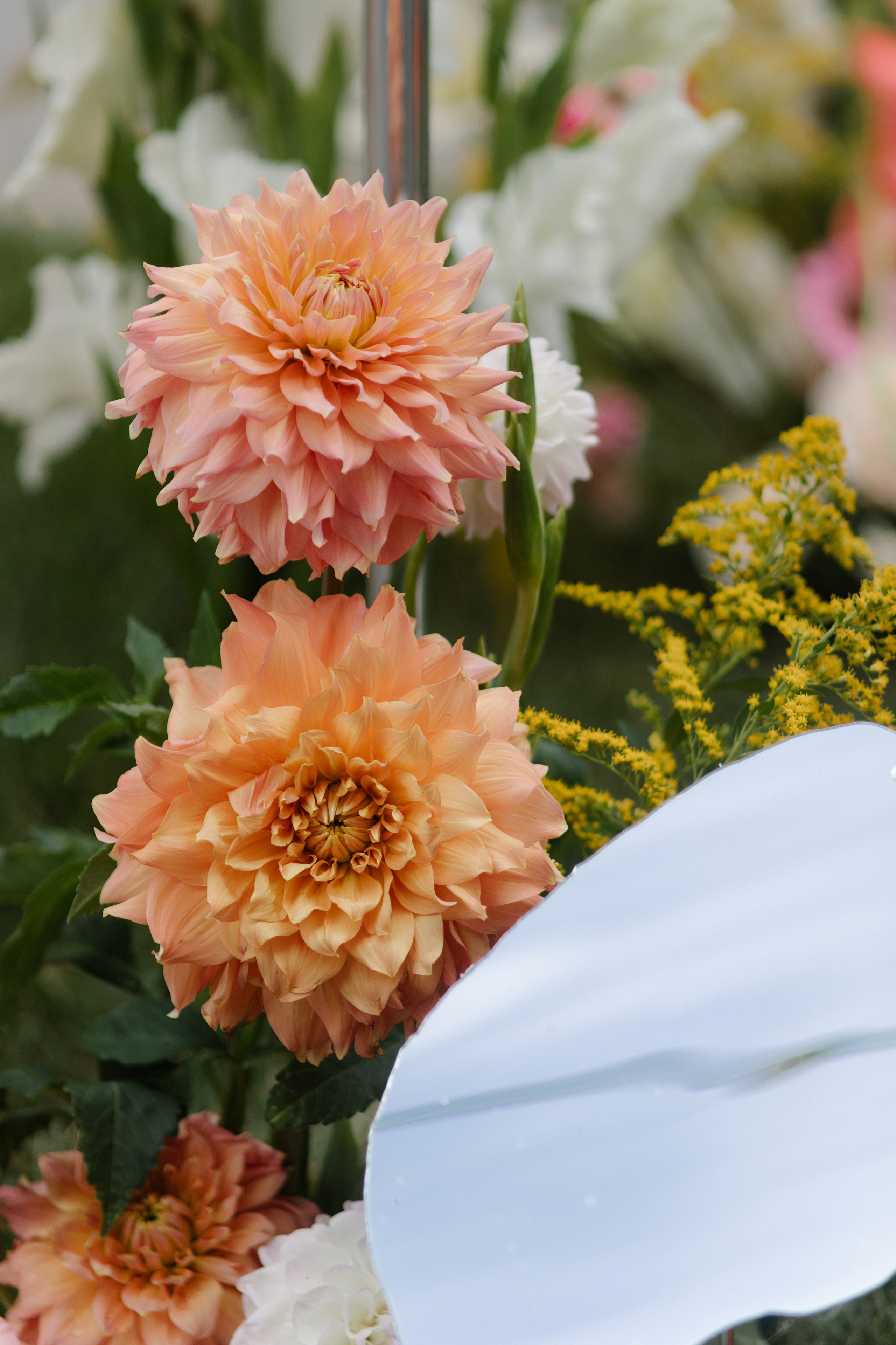 P&M. Пушистая Сова - Свадебный и портретный фотограф Воронеж, Москва, Питер