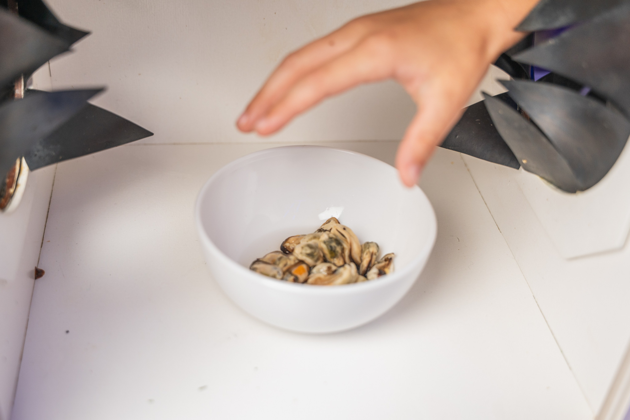 День рождения Рома. Главная