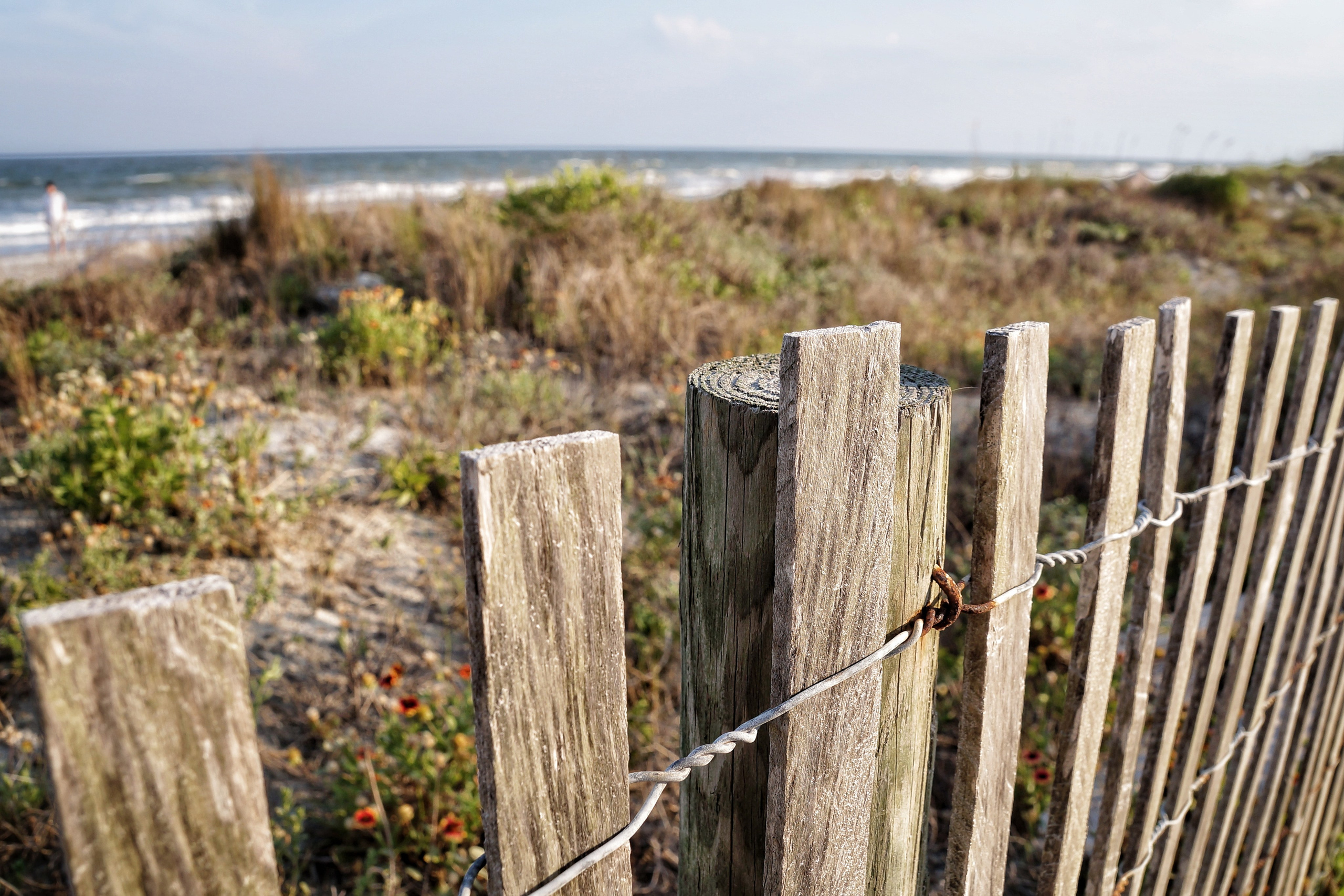 Shore Thing. Мои фото