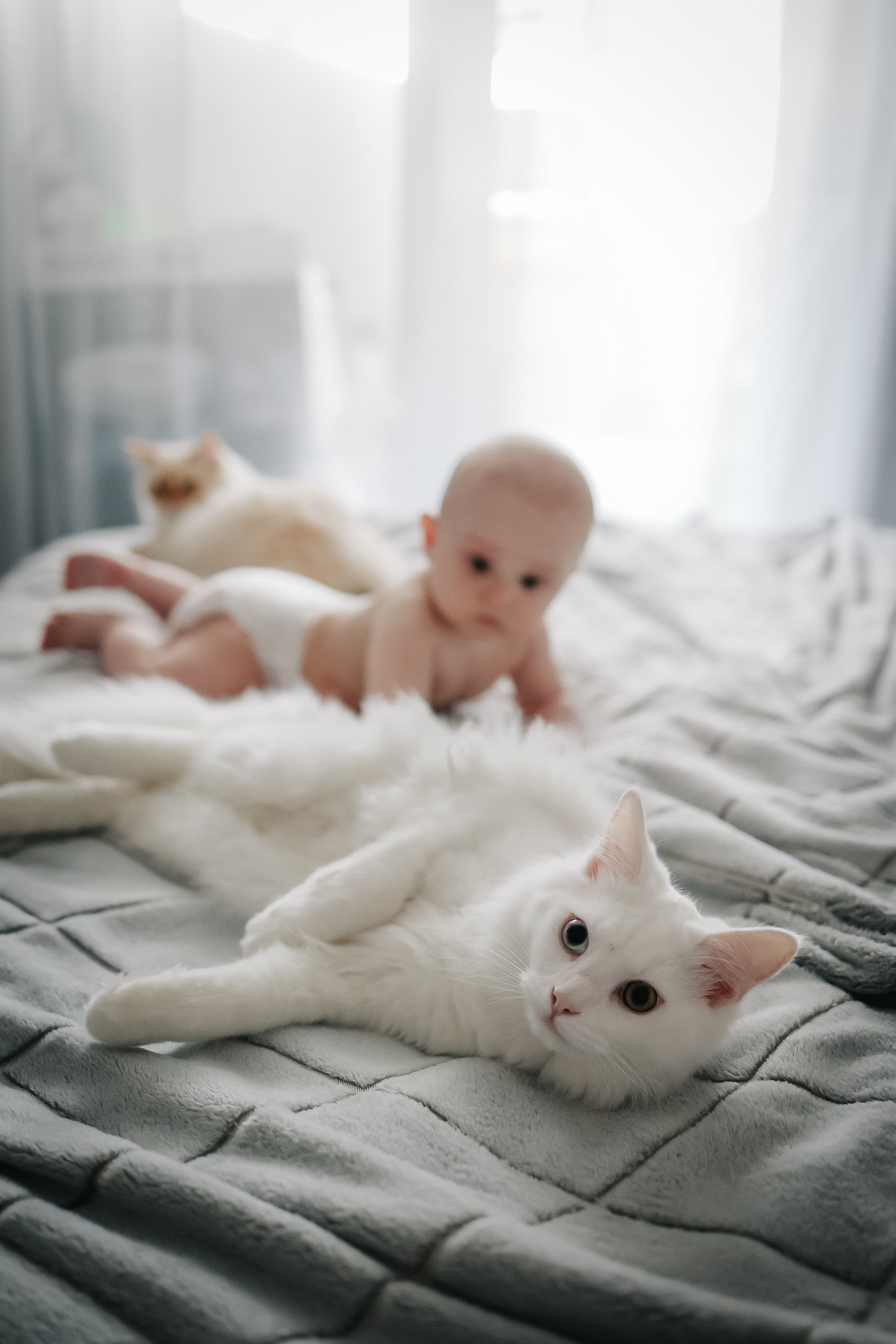 Ваш фотограф в Москве и области Юлия