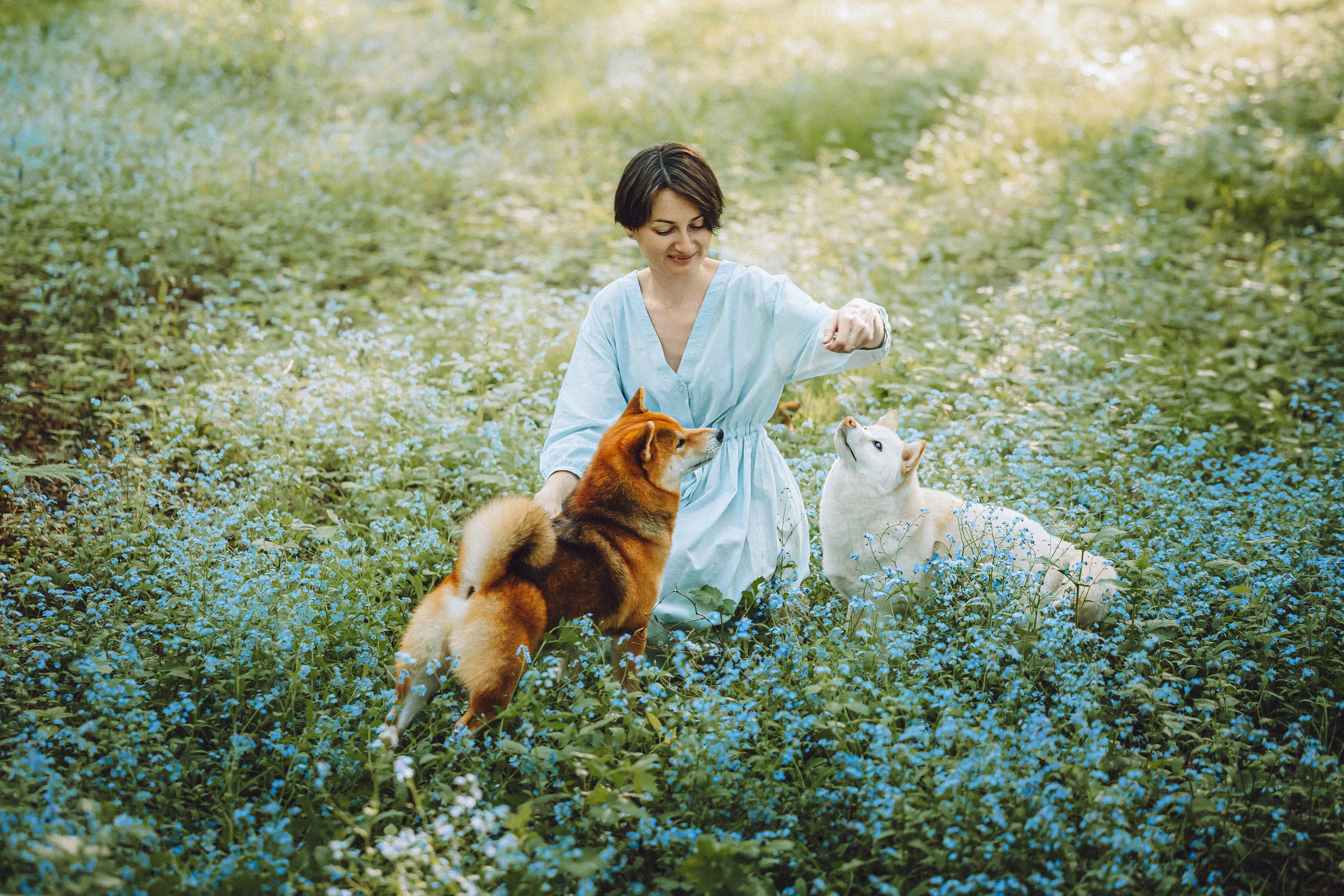 Шед, Цири, Чиби, Цера и их семья