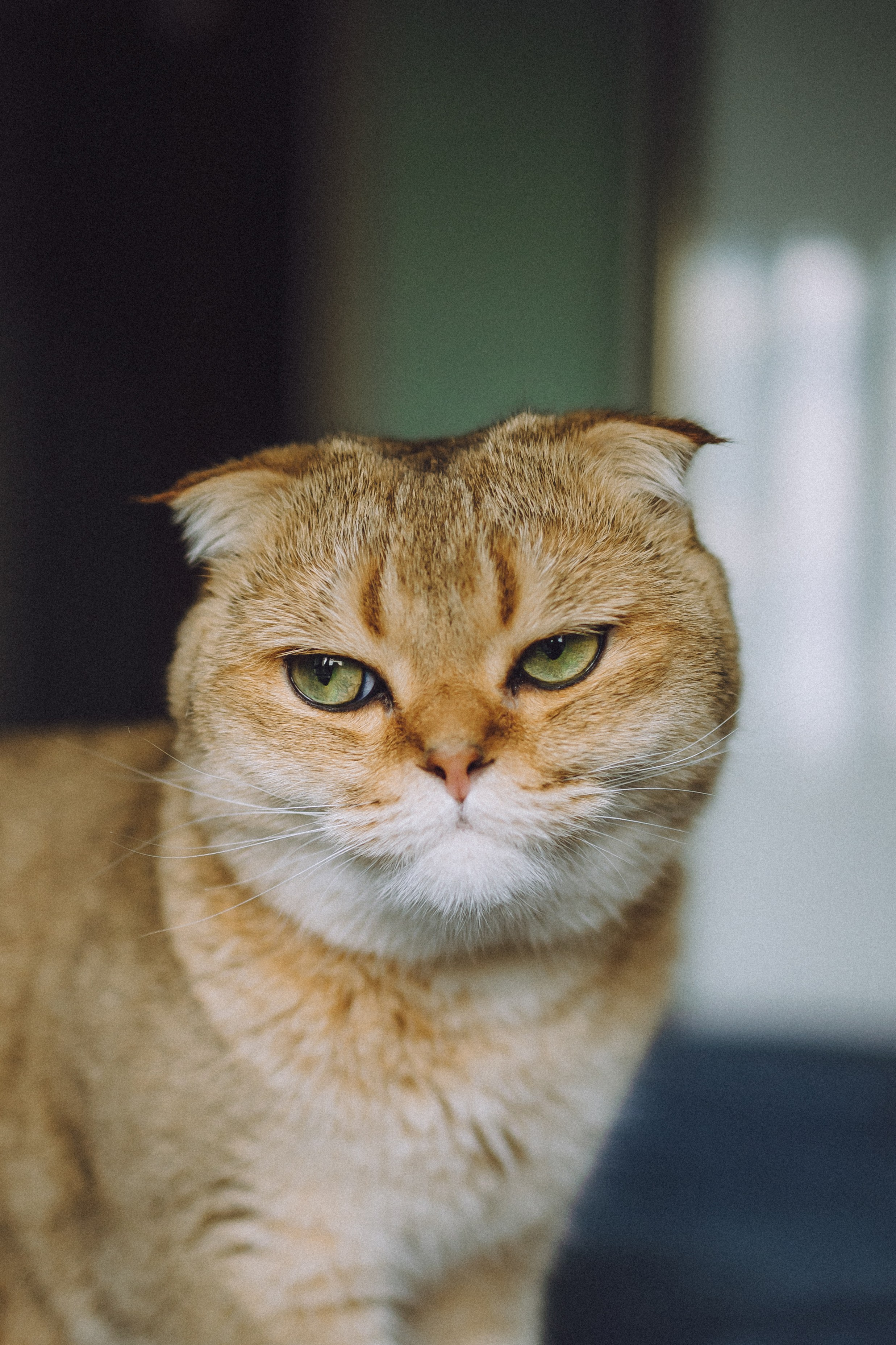 Генри и его семья