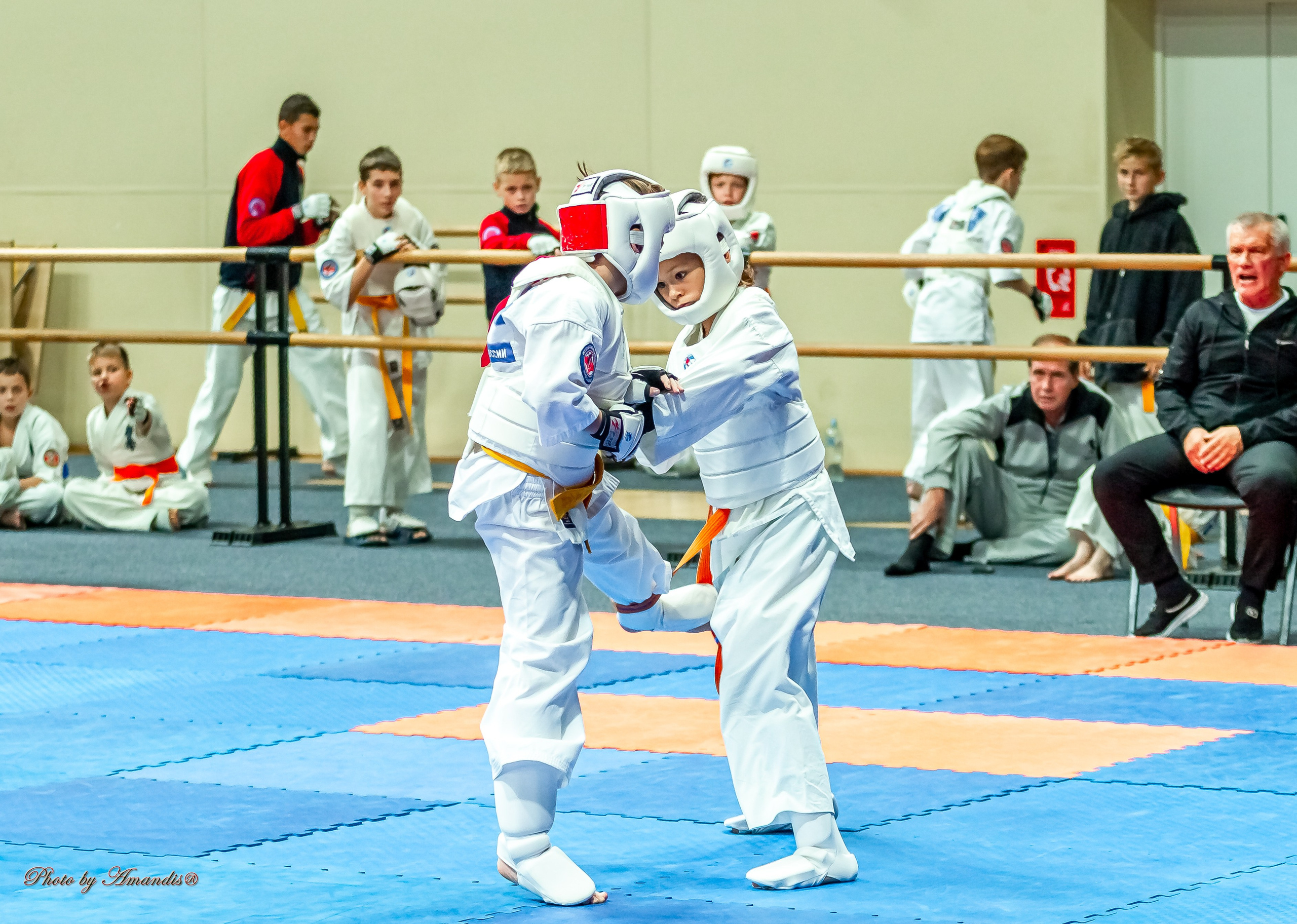 Первенство Московской области по Киокушин в СК «Жаворонки». Репортажная съемка в Москве и области. Анималистика