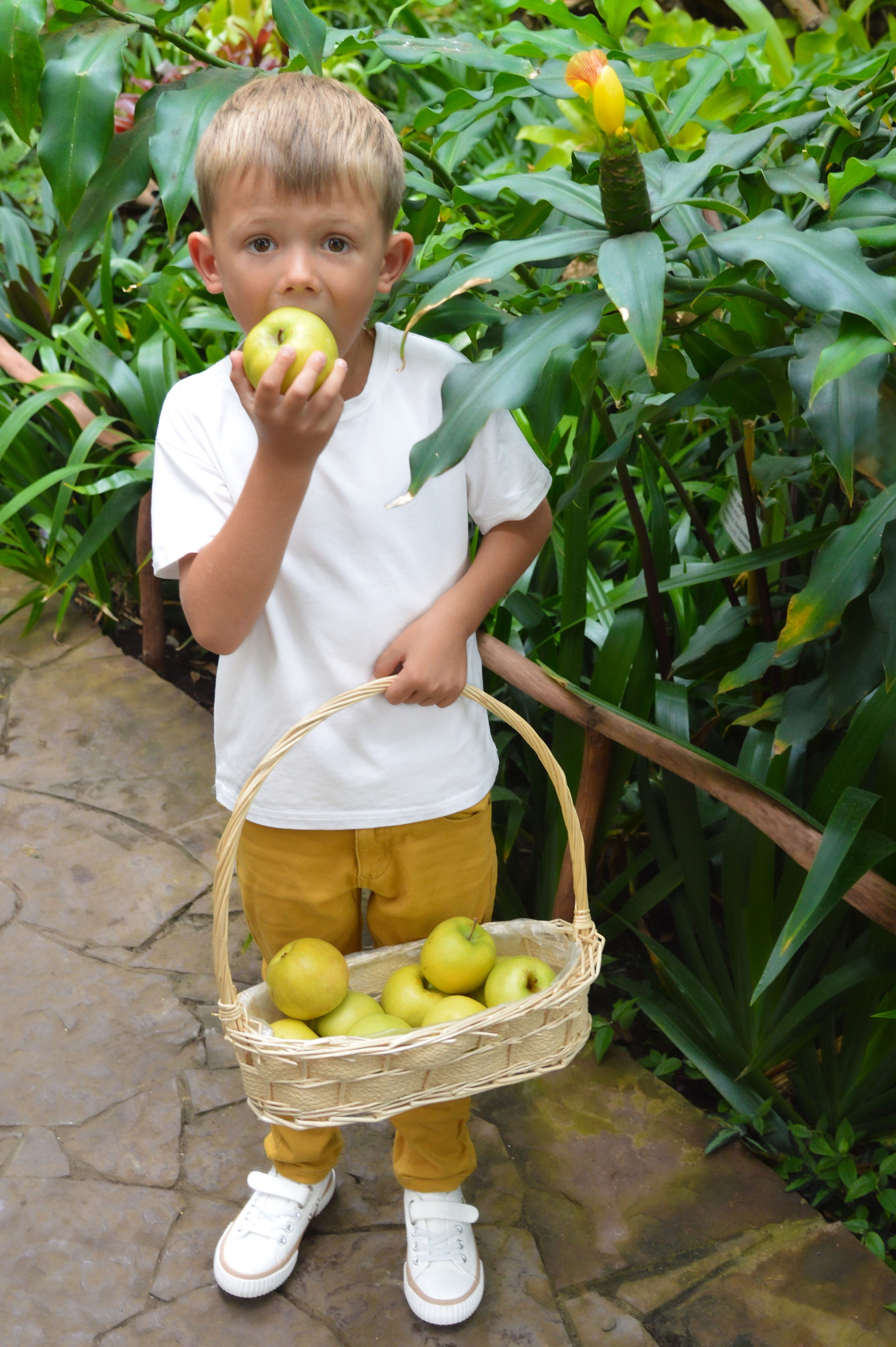 Семейная фотосессия в Кемерово. Семейная фотосъемка. Семейный портрет. Детская фотосессия в Кемерово. Оксана Микитюк — Фотограф в г. Кемерово