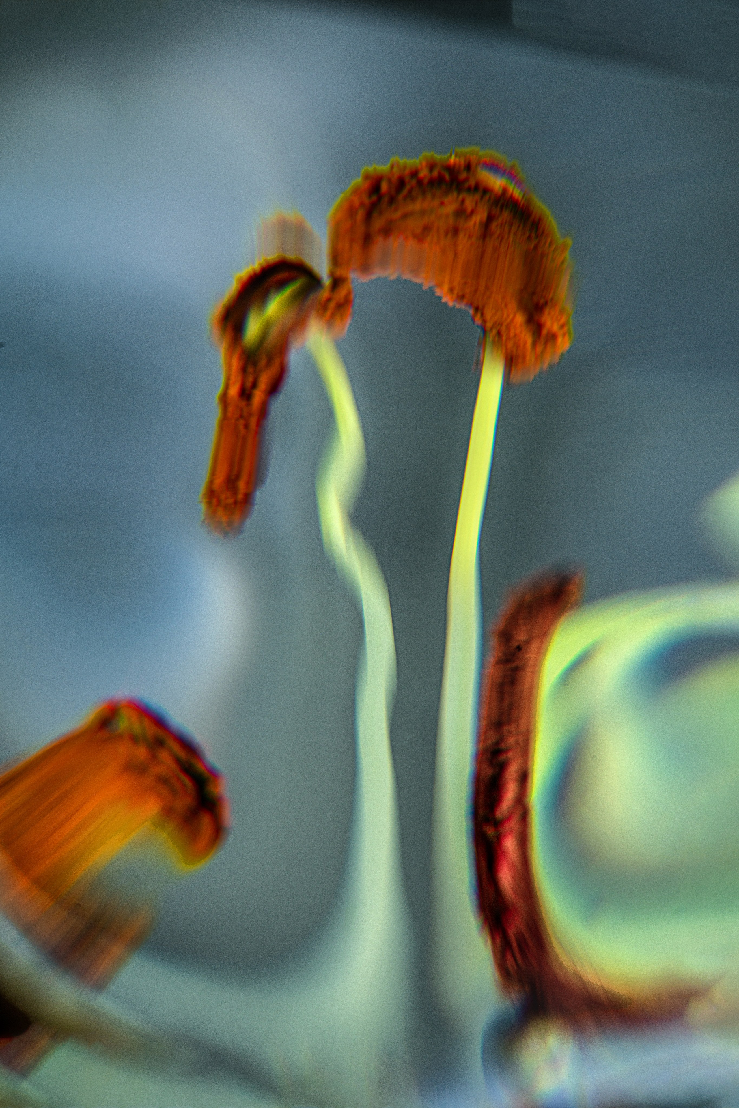 Сны Греции — исследование визуального восприятия. Яна Каменская