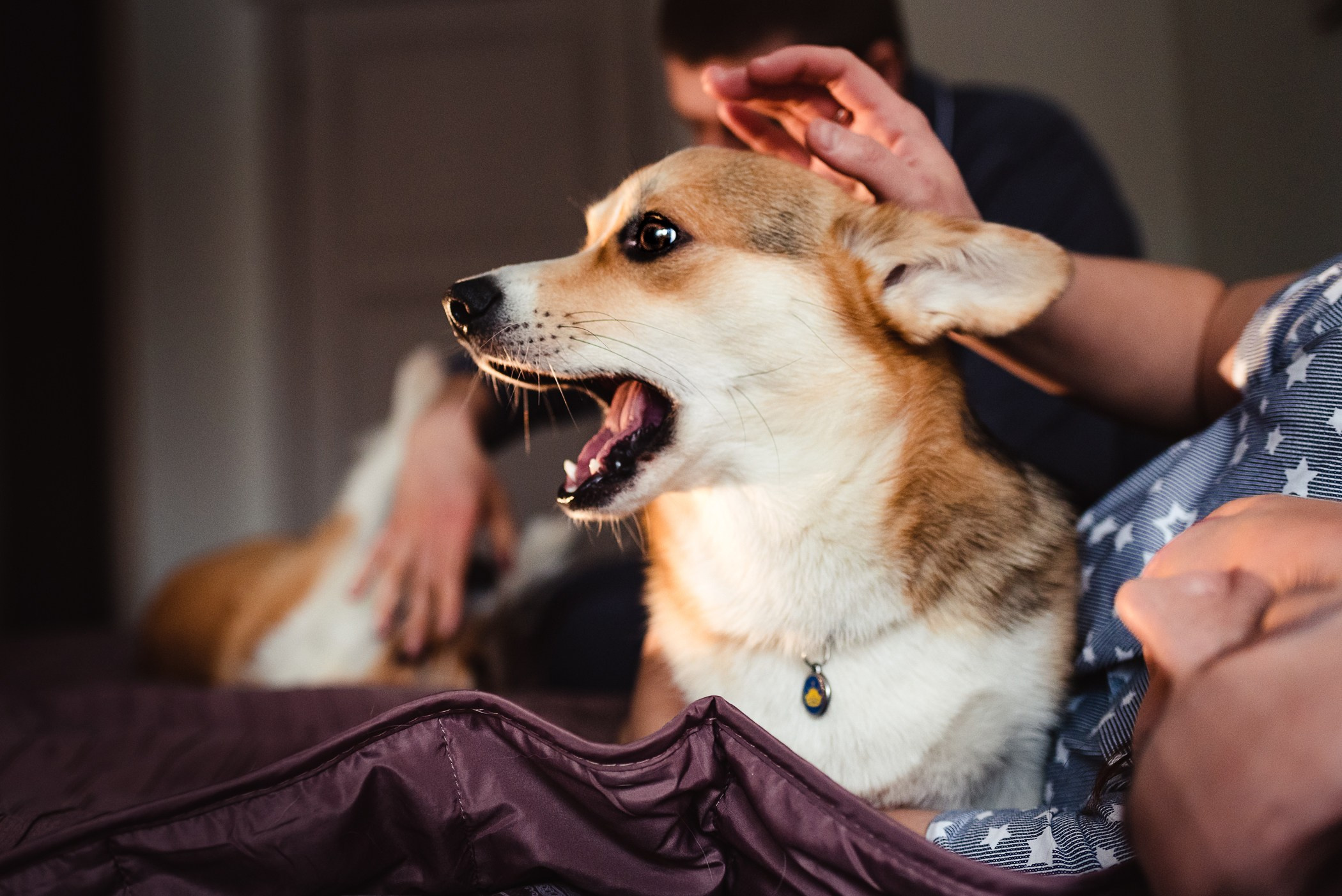 Пижамная вечеринка Тани и Димы. Семейный Фотограф в Москве Ирина Хохлова