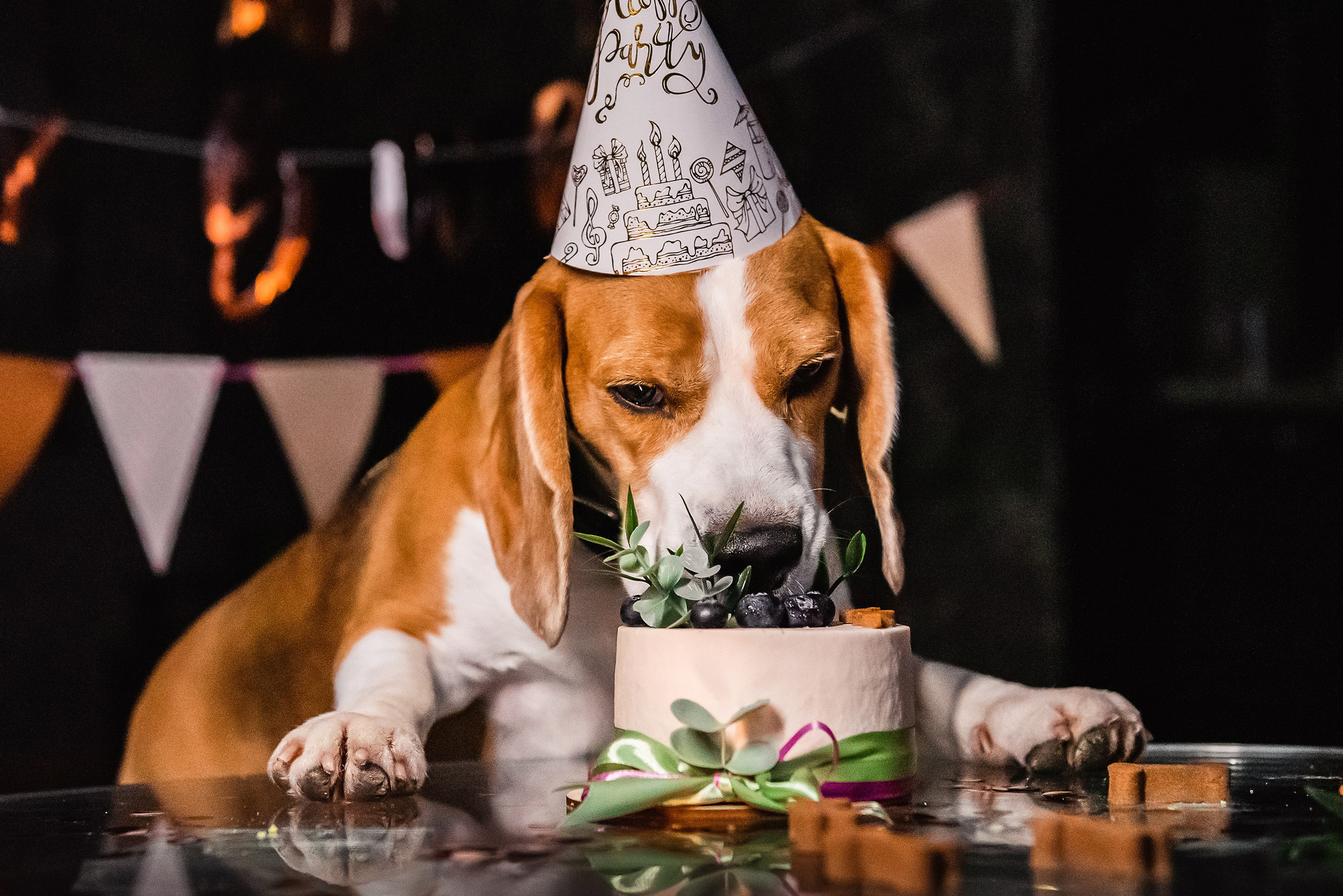 День рождение Дарси. Семейный Фотограф в Москве Ирина Хохлова