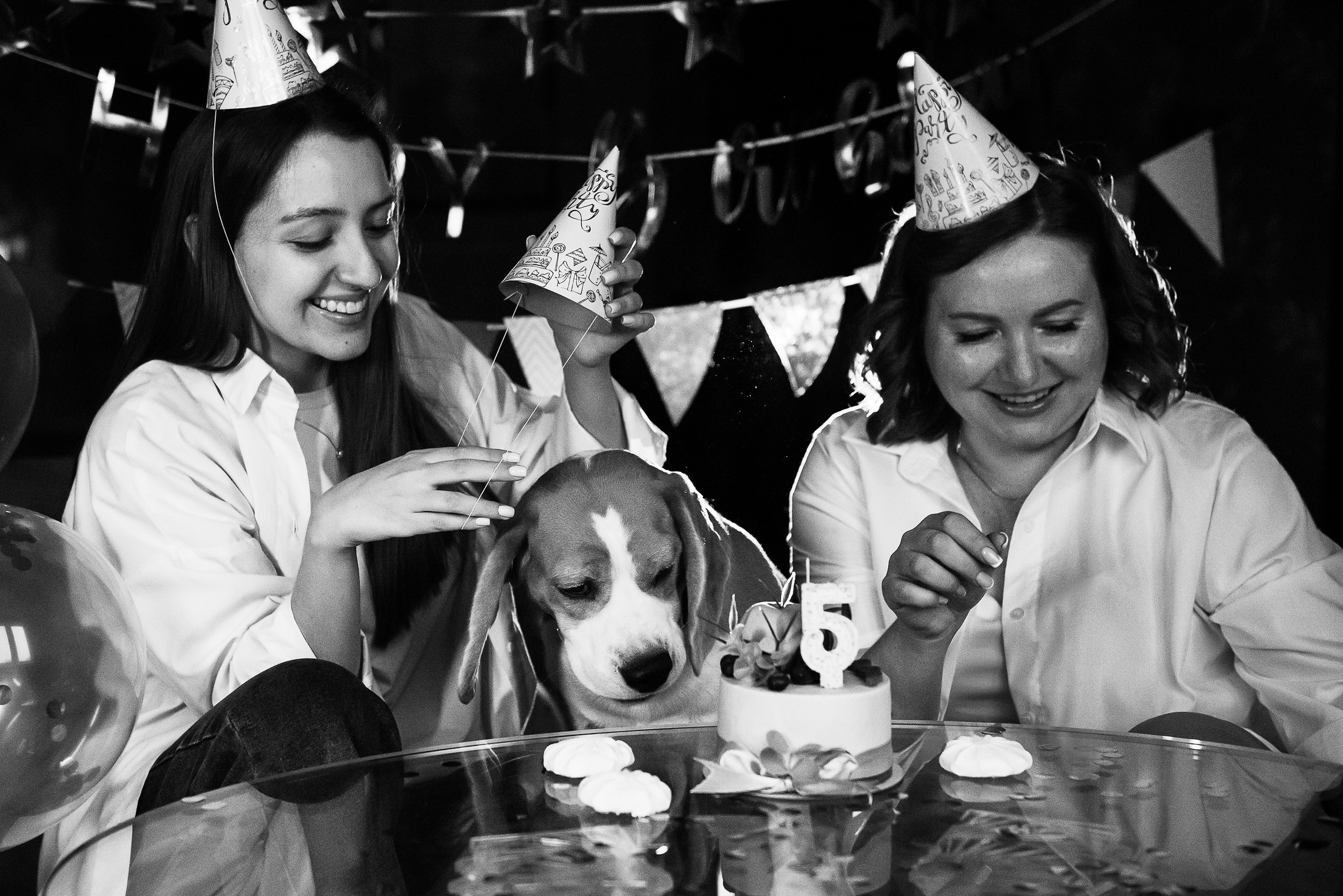 День рождение Дарси. Семейный Фотограф в Москве Ирина Хохлова