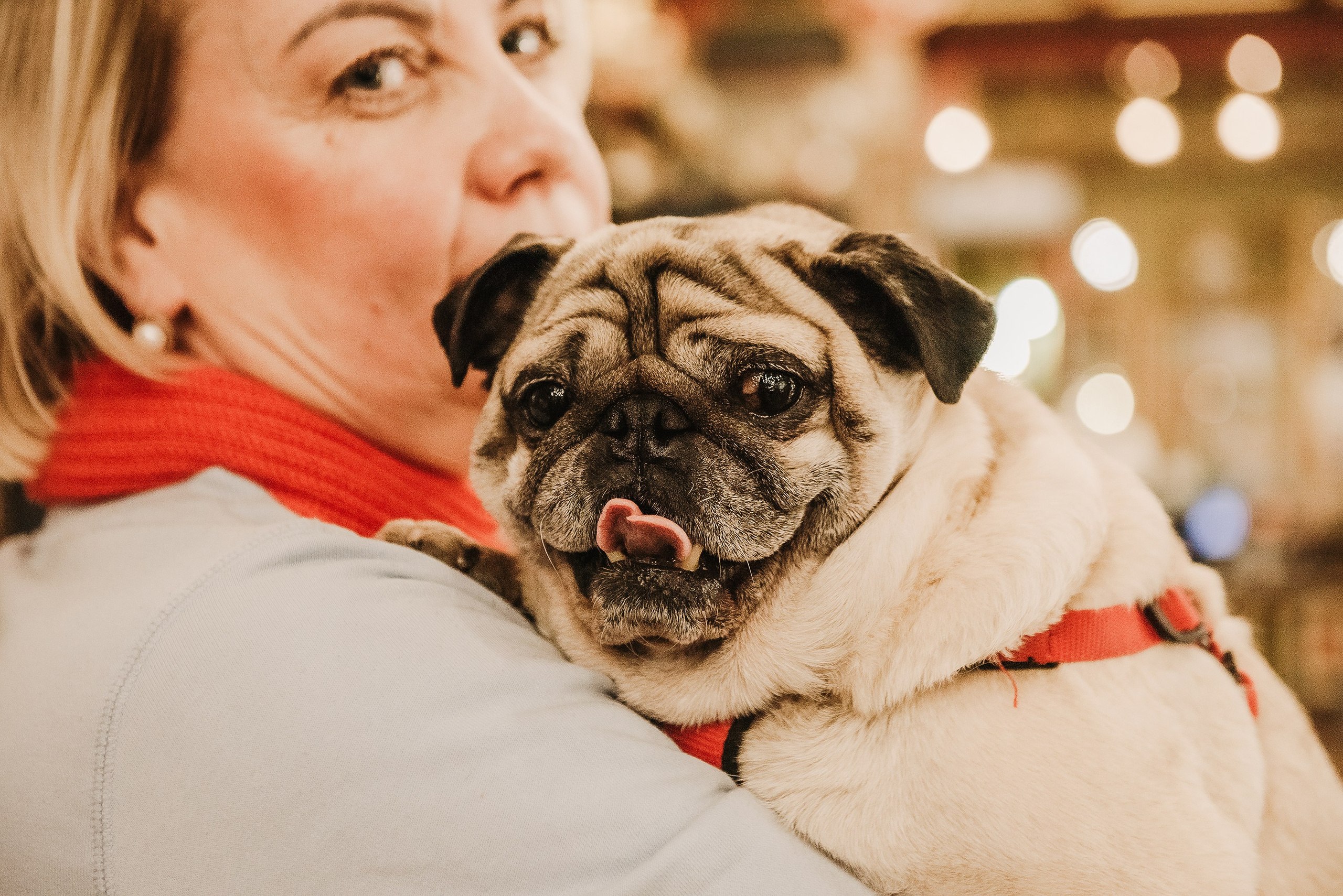 Ольга и Потапум. Прогулка к чайному дому. Семейный Фотограф в Москве Ирина Хохлова
