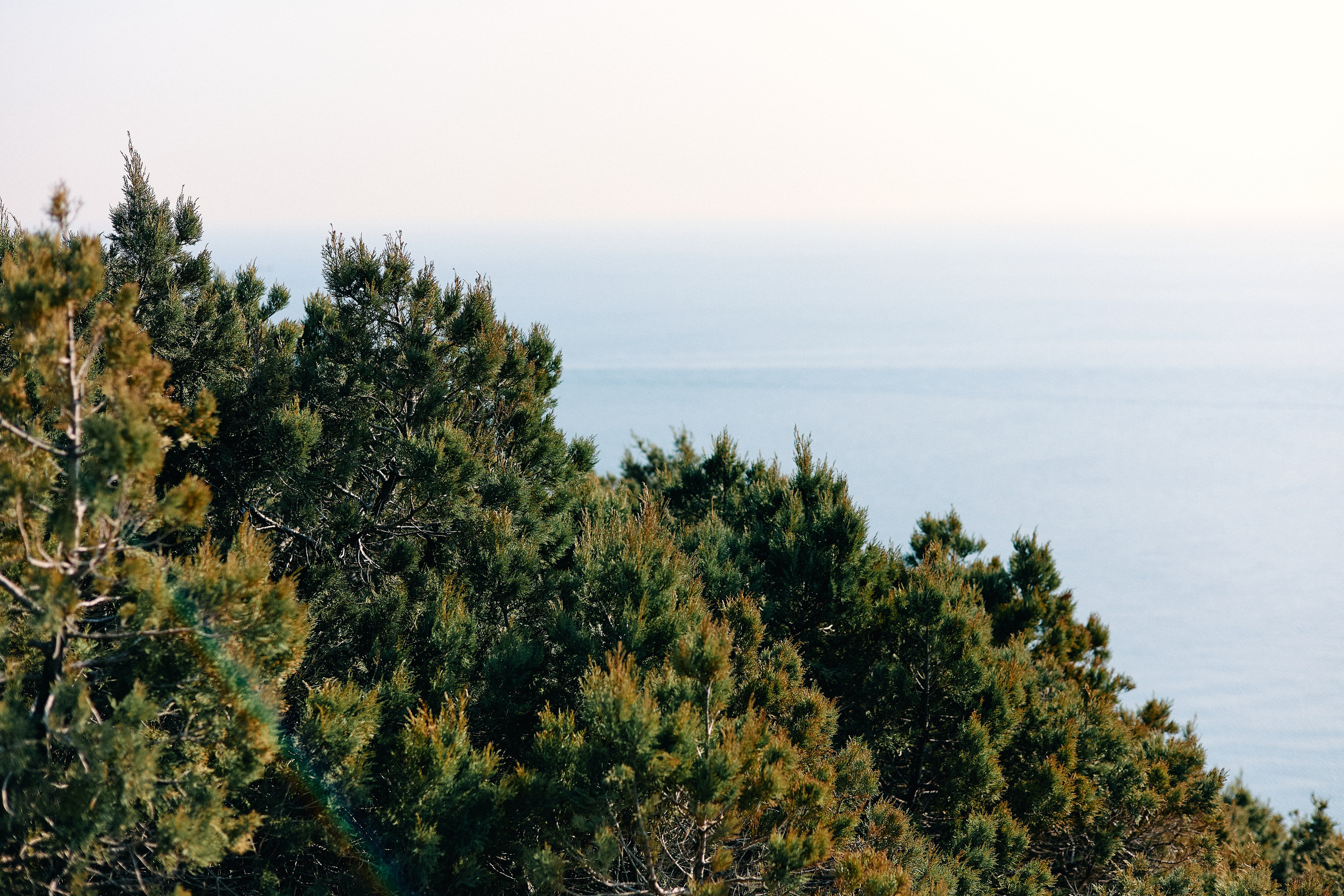 Юг России. Профессиональный Фотограф во Владимире, в Москве и в Суздале — Полина Романычева
