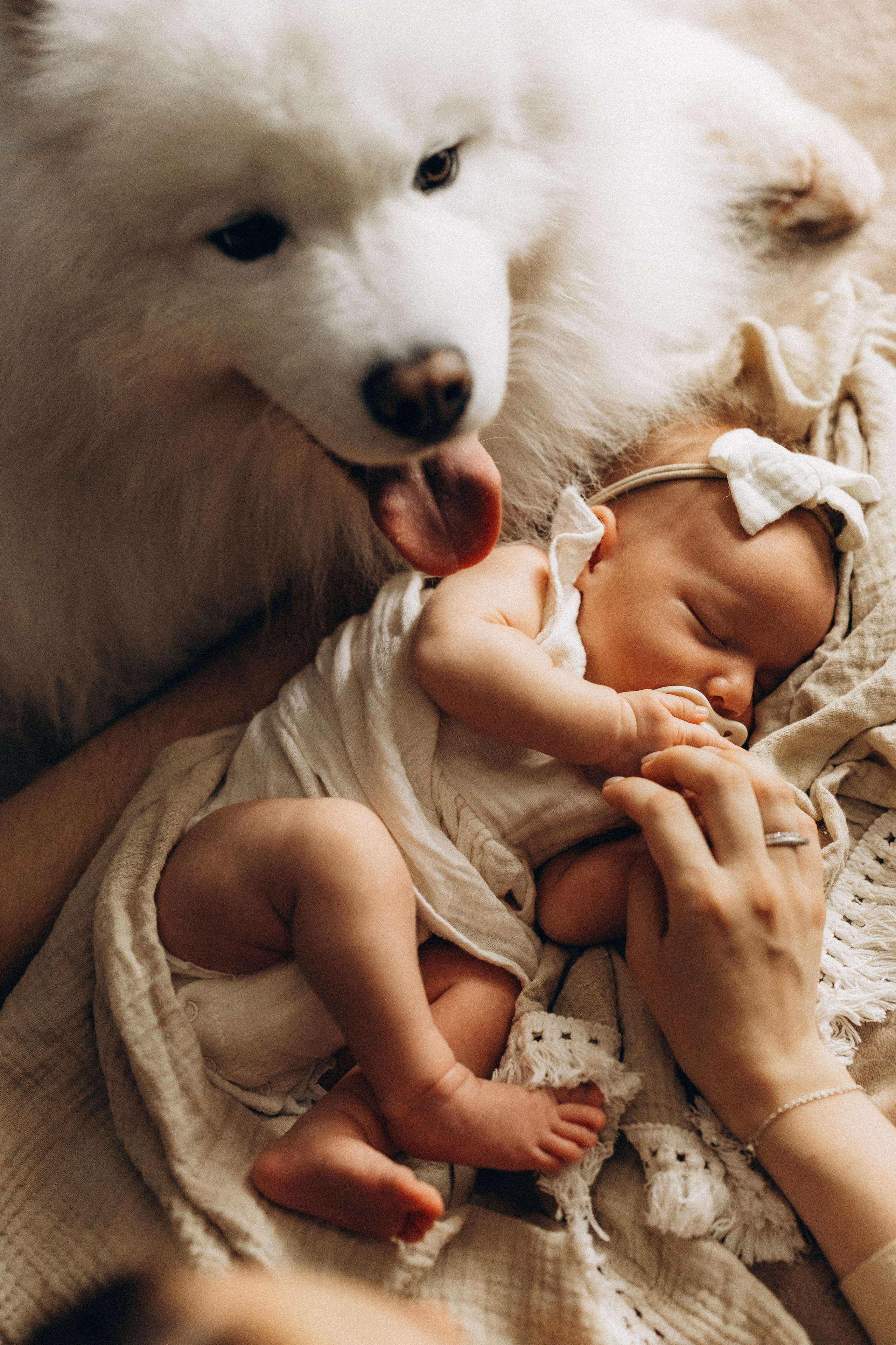 Василиса. Евгения Пелипас