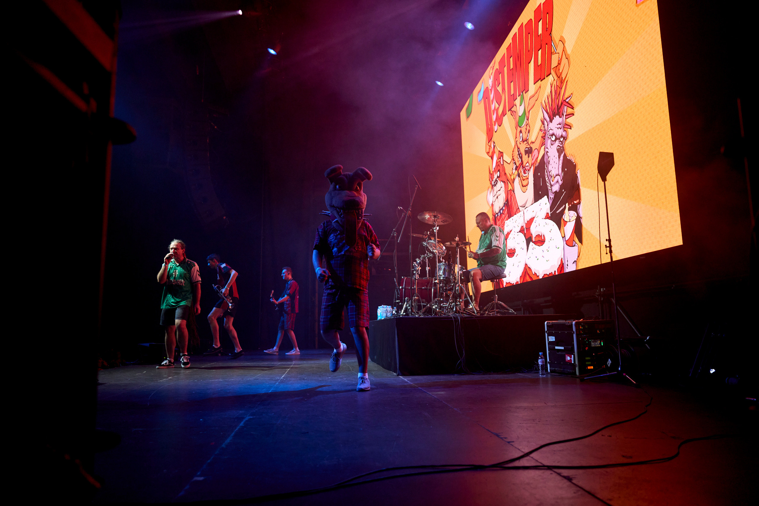 DISTEMPER 33 / 1930 / 24.09.2022. Ekhovanov | фото- видеосъемка